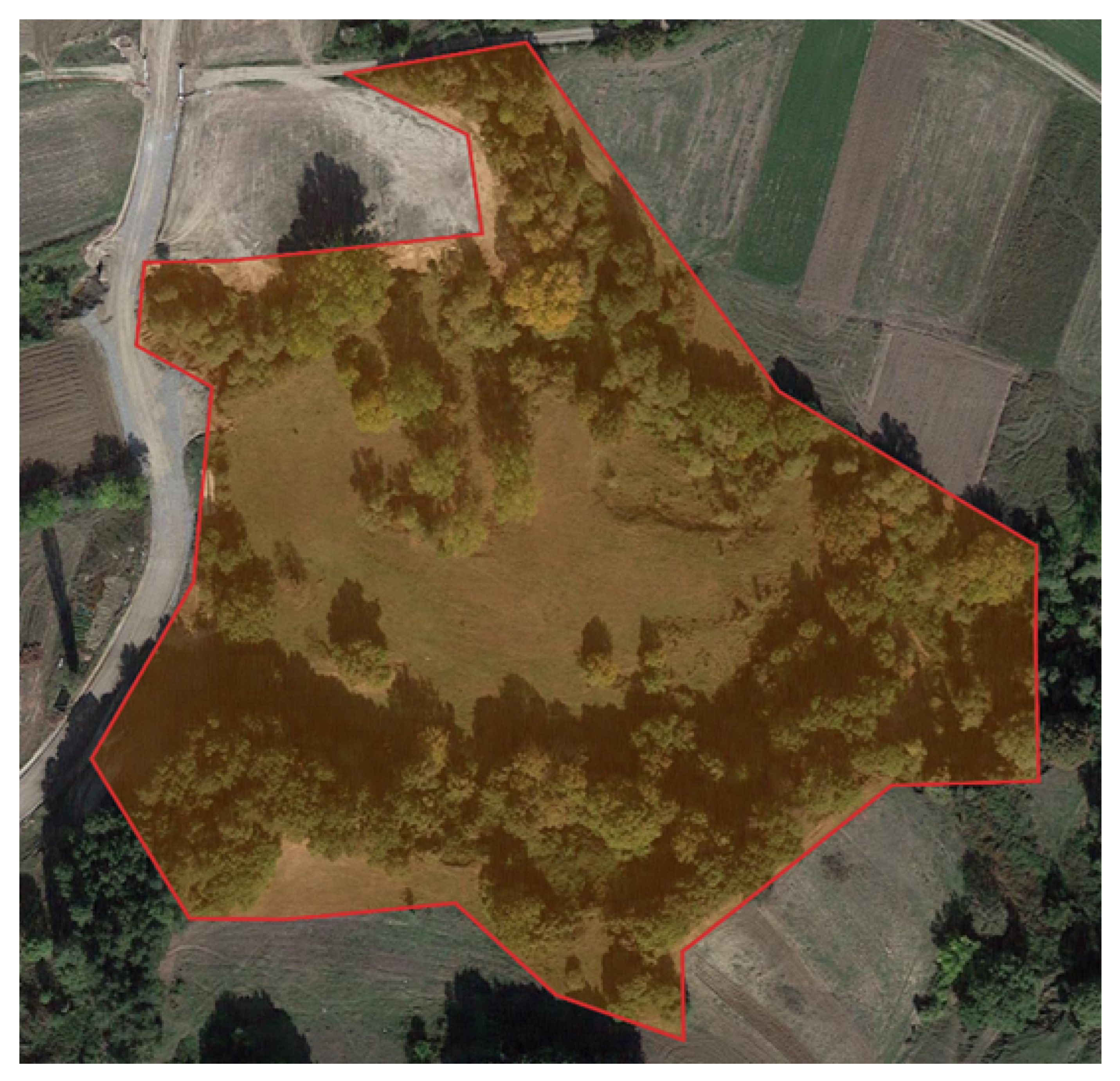 Information 16 00539 g002