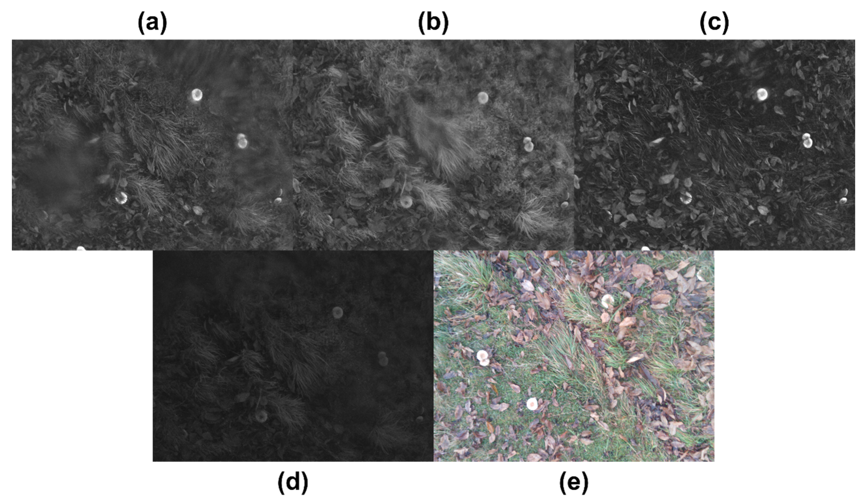 Information 16 00539 g004