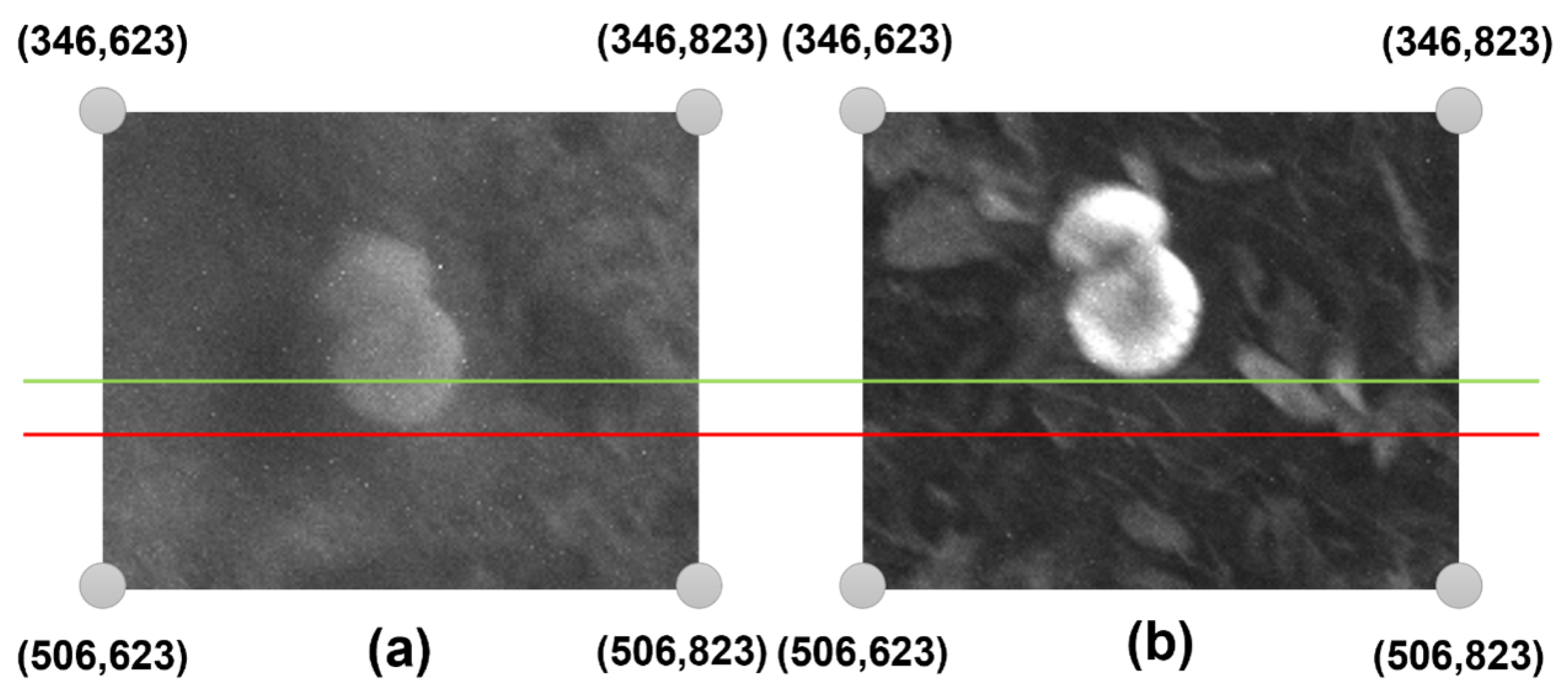 Information 16 00539 g005