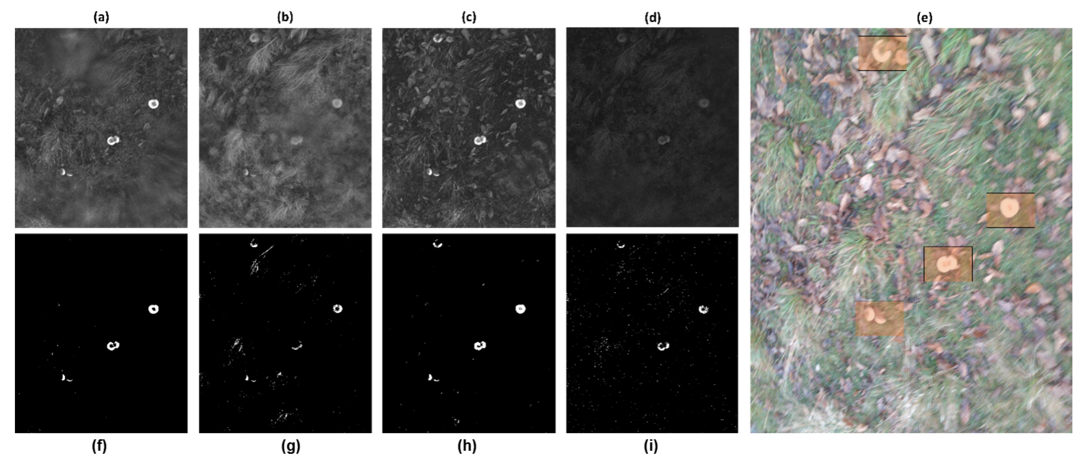 Information 16 00539 g006