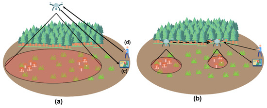 Information 16 00539 g008