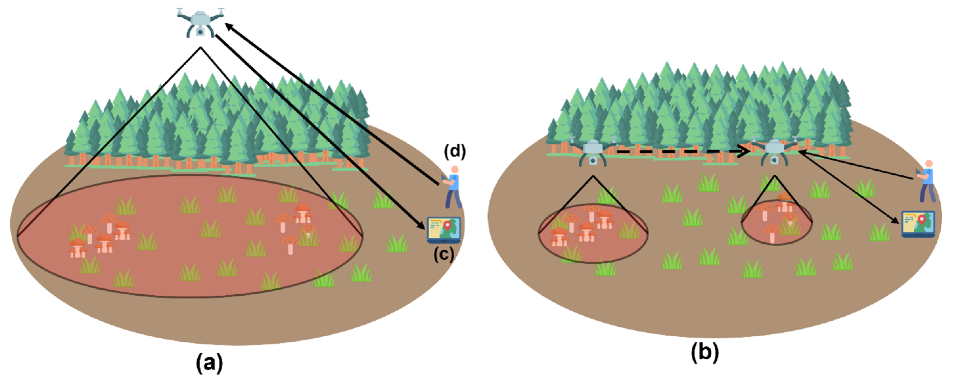 Information 16 00539 g008