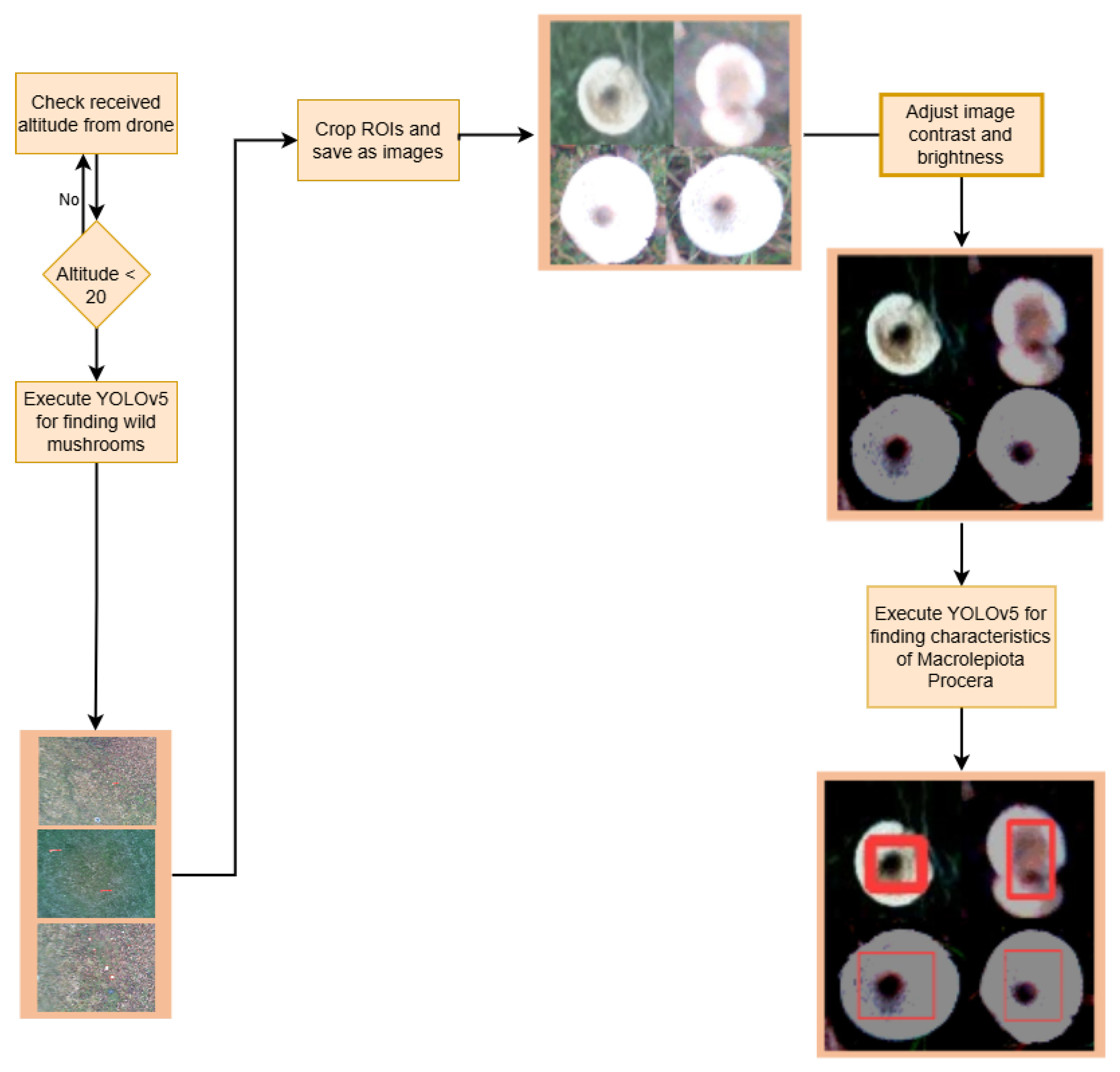 Information 16 00539 g011