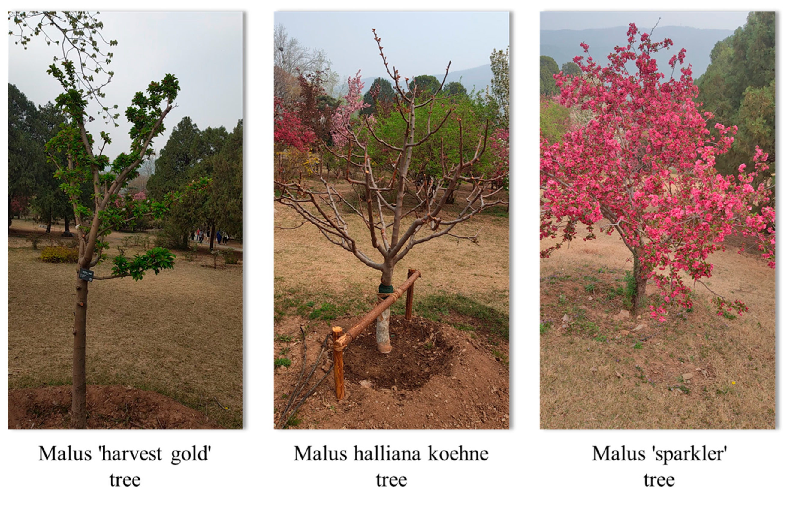 Information 16 00654 g002