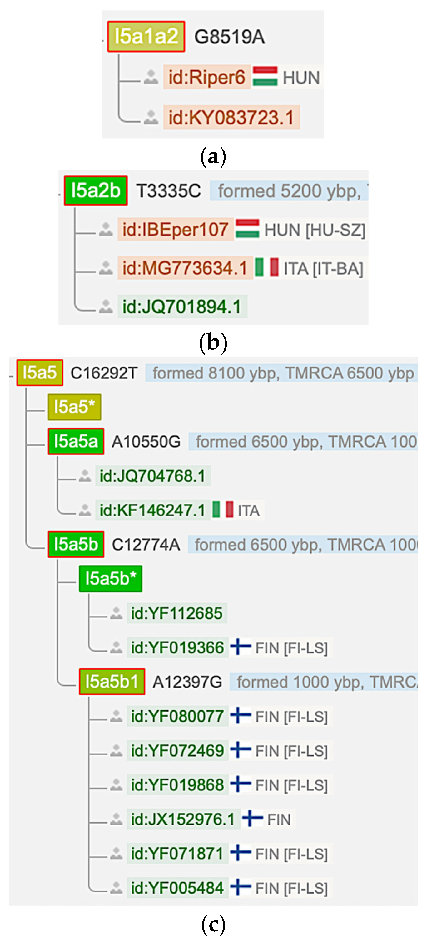 Information 16 00930 g004 Information 16 00930 g004