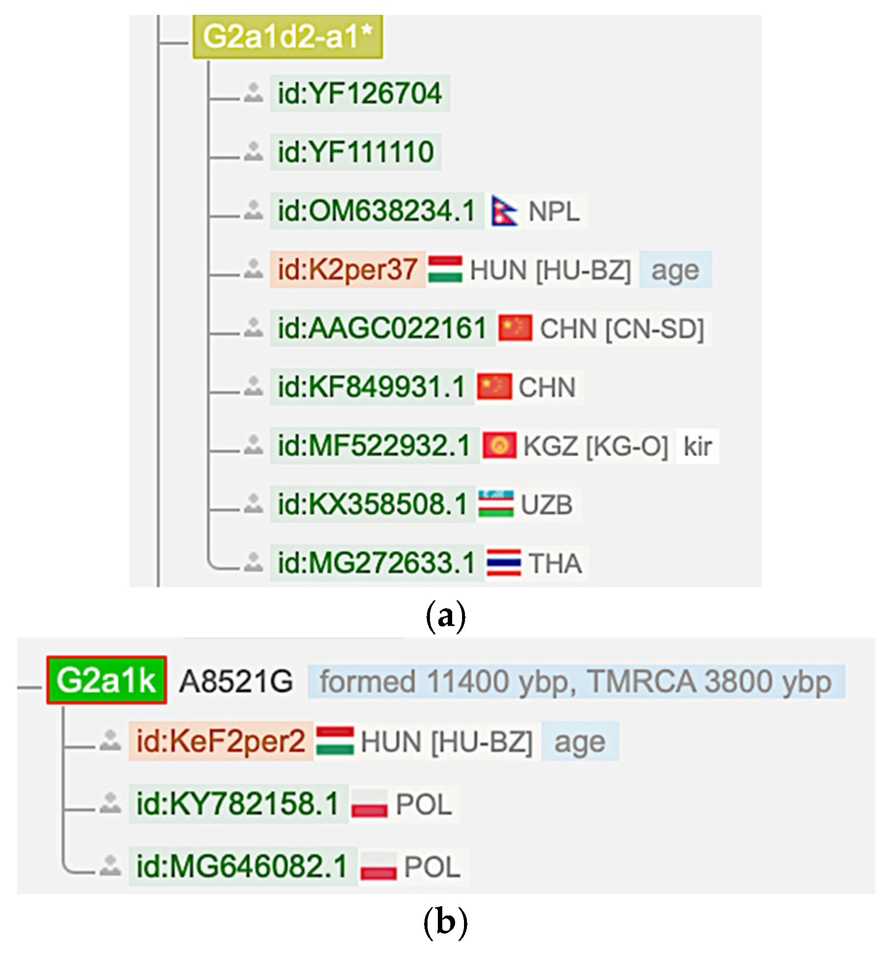 Information 16 00930 g005 Information 16 00930 g005