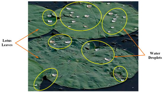 Infrastructures 07 00046 g001