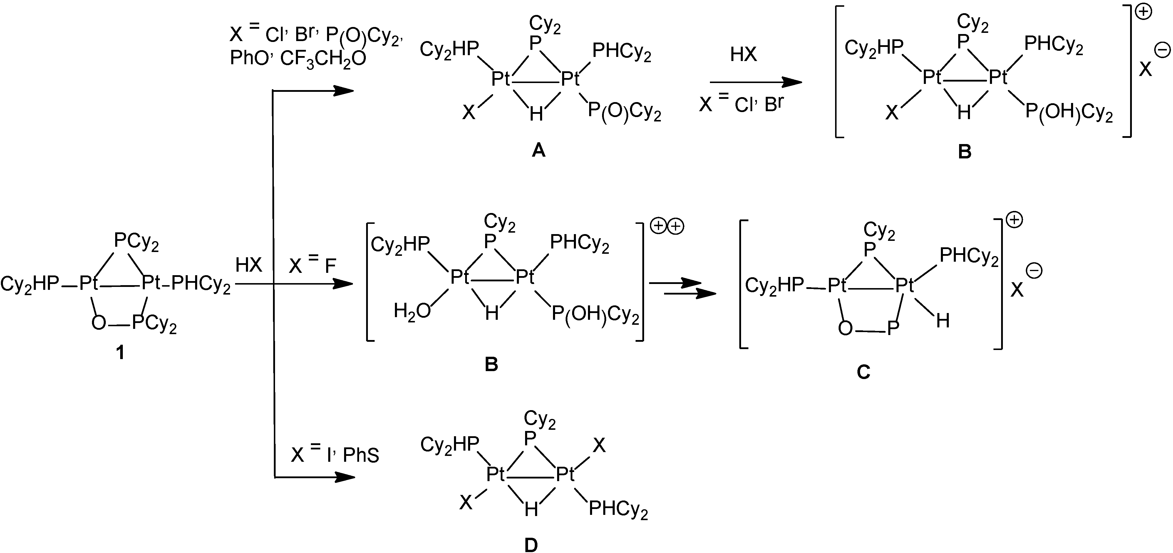 Inorganics 02 00591 g006