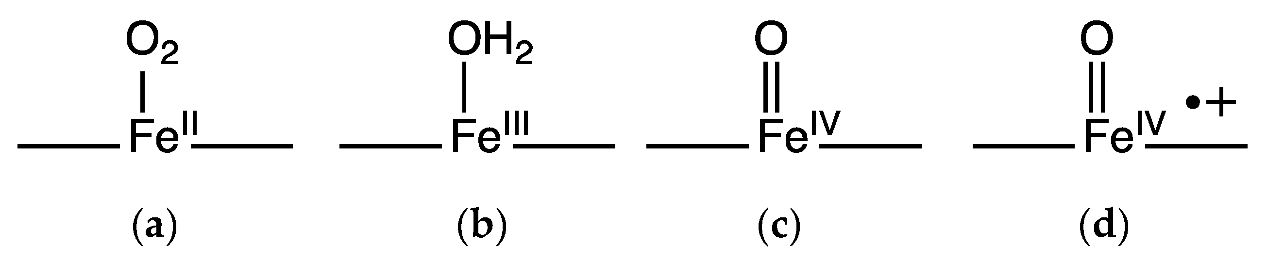 Inorganics 04 00012 g004