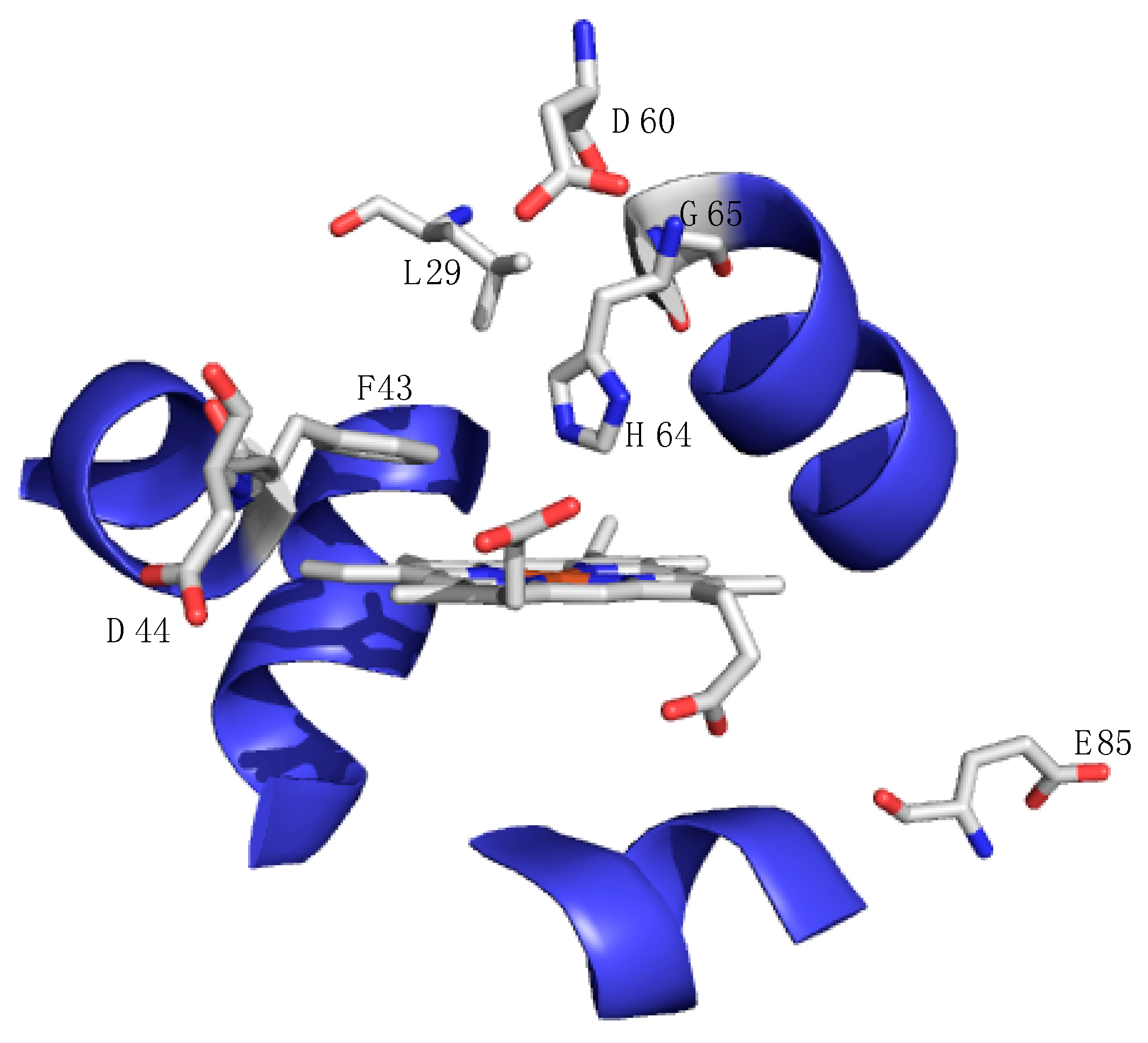 Inorganics 04 00012 g005