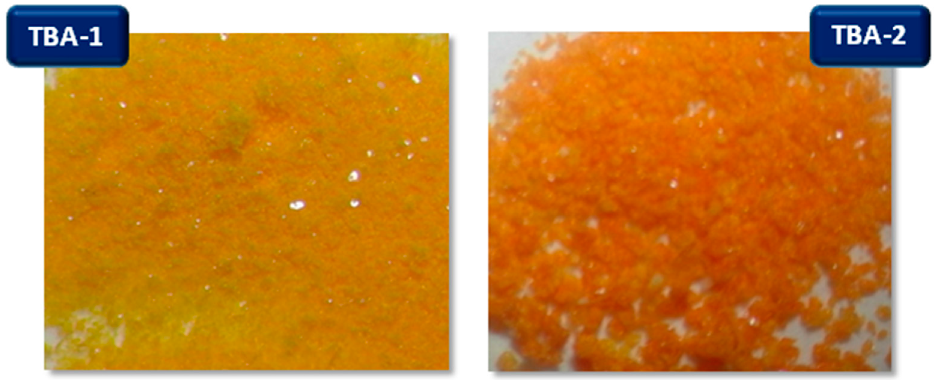 Inorganics 04 00014 g005