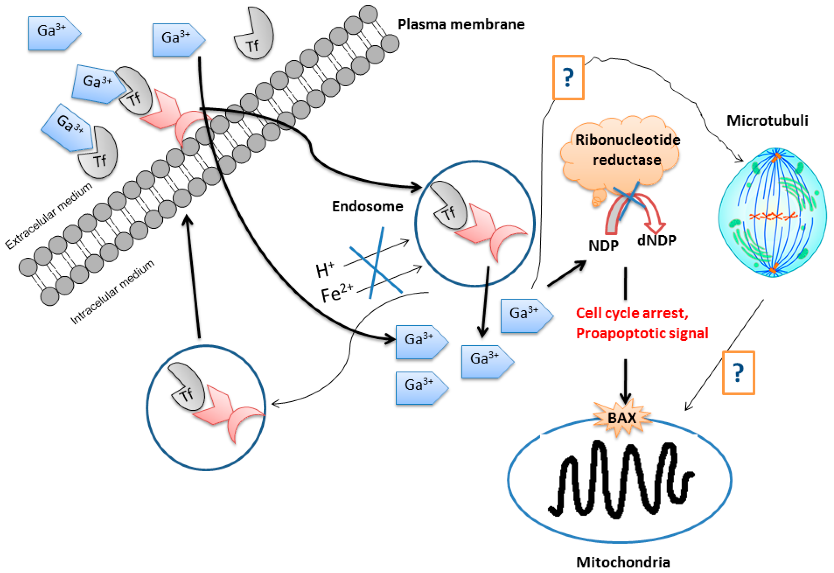 Inorganics 05 00004 g004