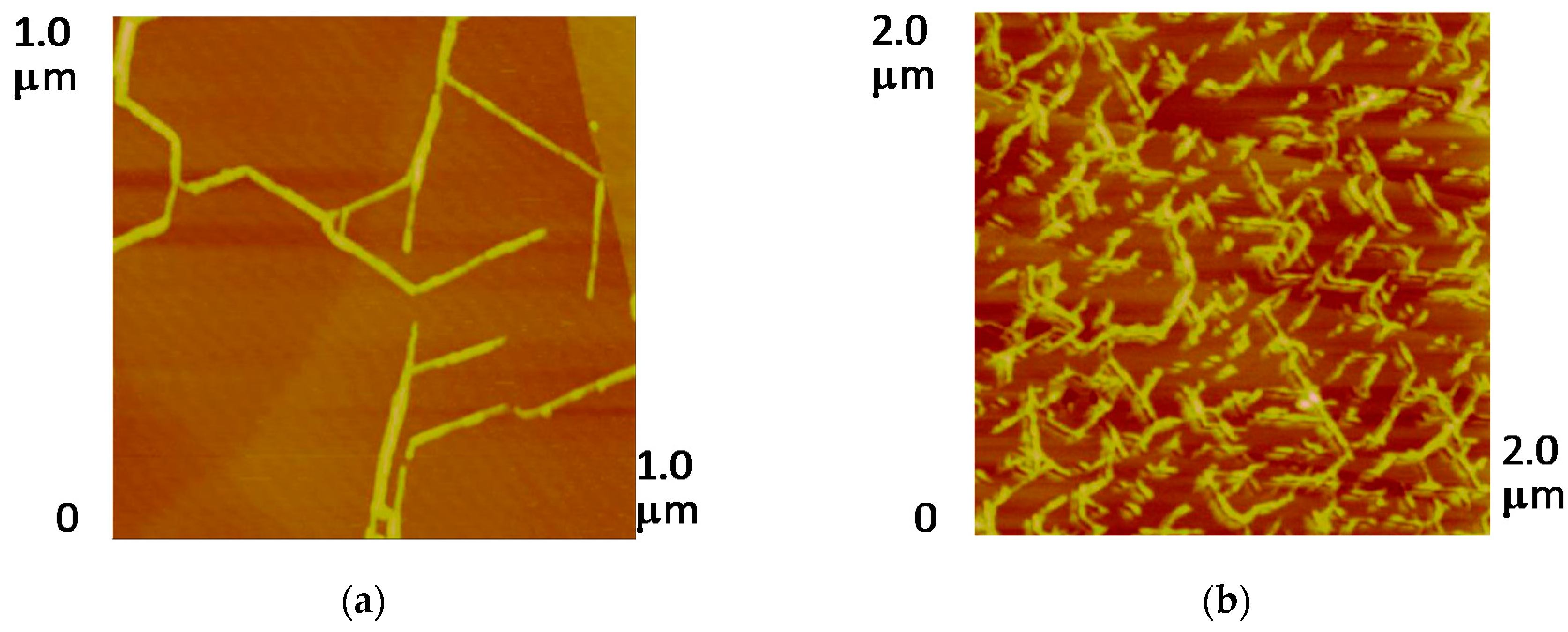 Inorganics 05 00045 g007