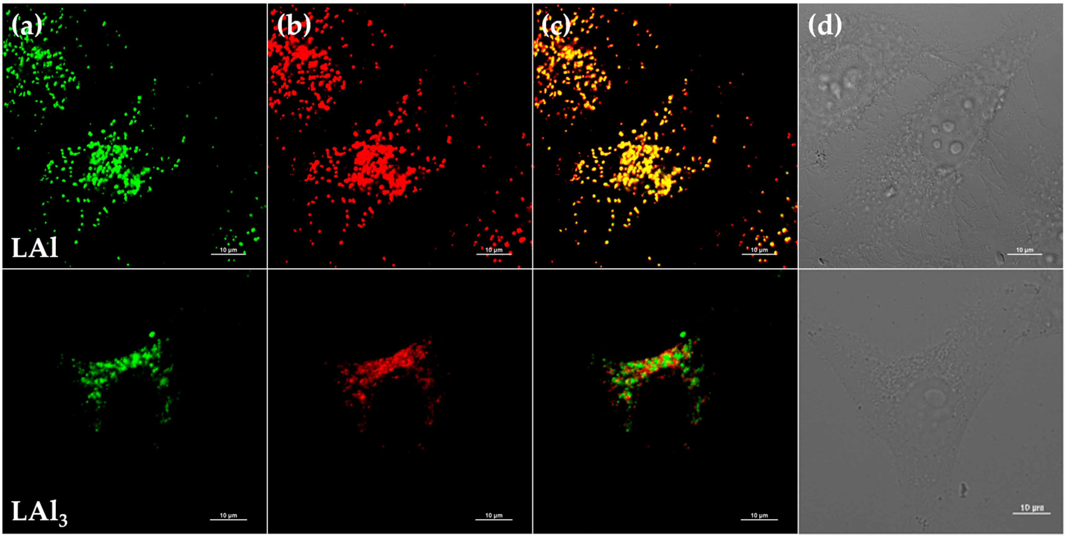 Inorganics 06 00020 g005