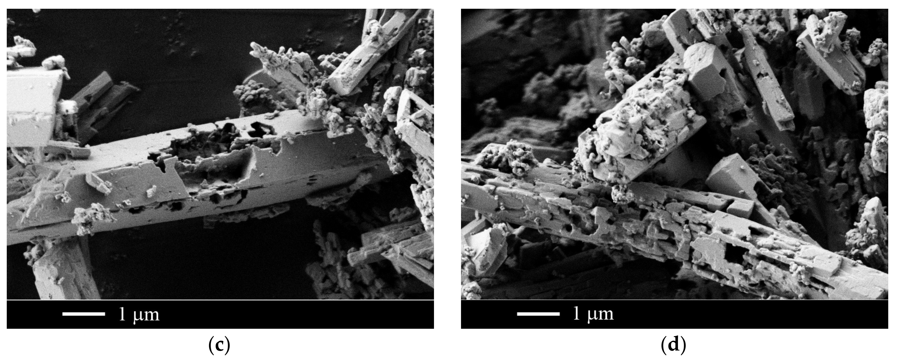 Inorganics 06 00038 g003b