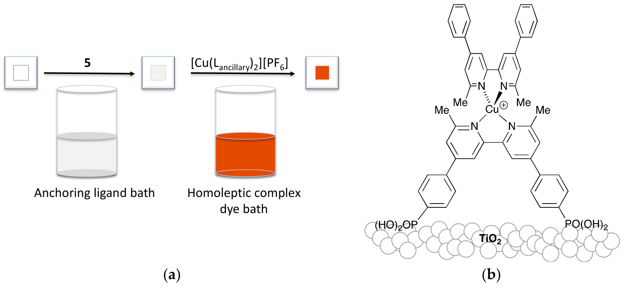 Inorganics 06 00040 g004