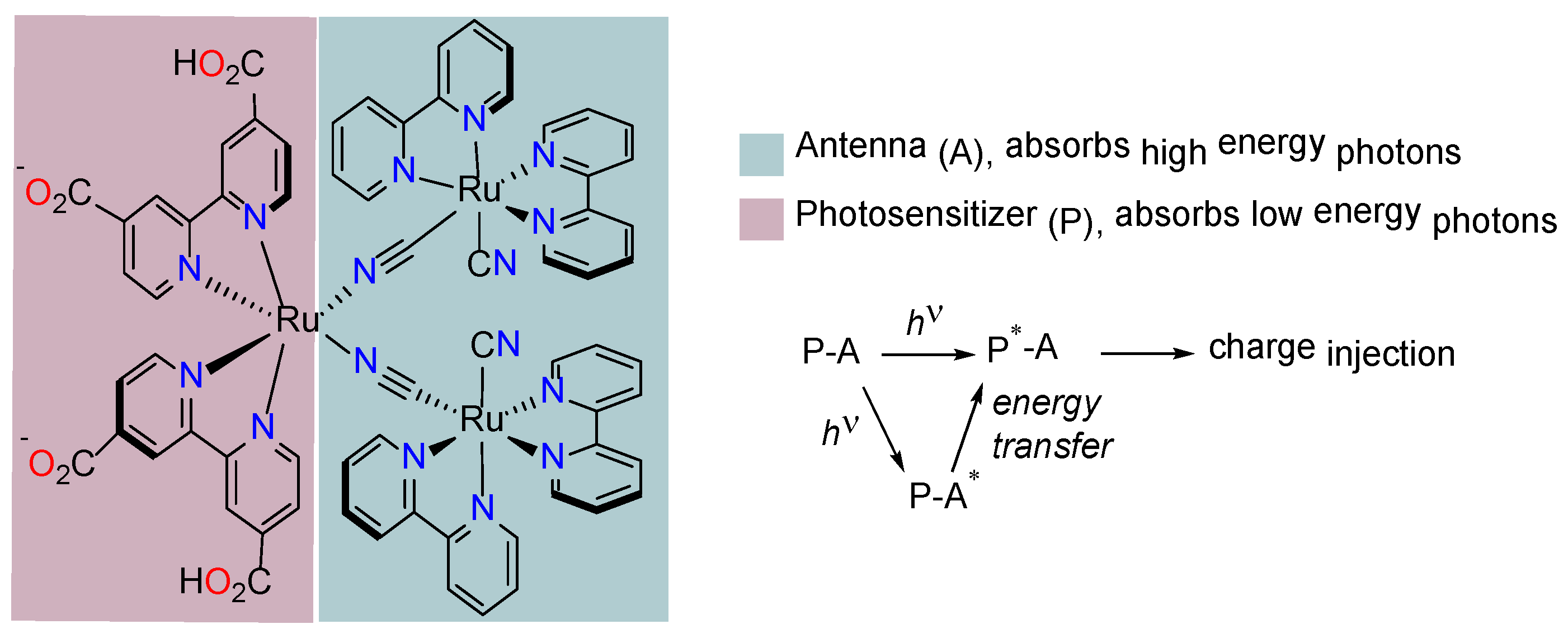 Inorganics 06 00052 g005