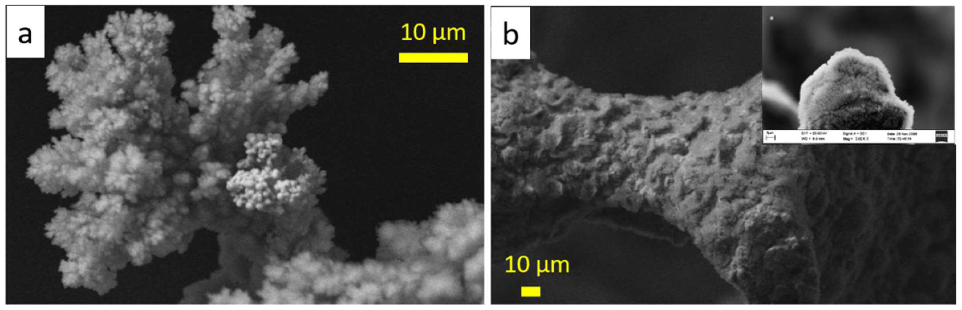 Inorganics 06 00074 g006