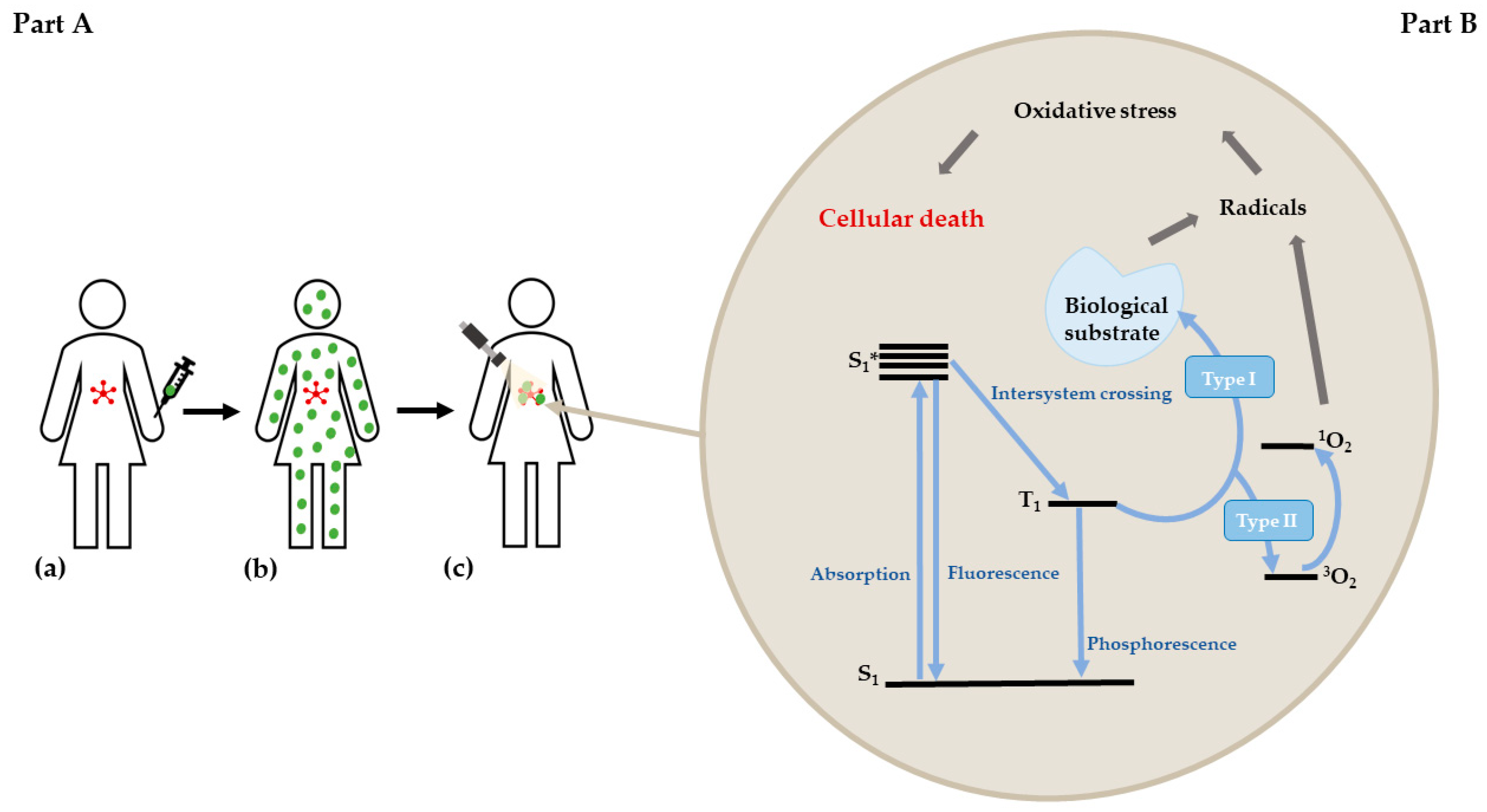 Inorganics 06 00097 g001