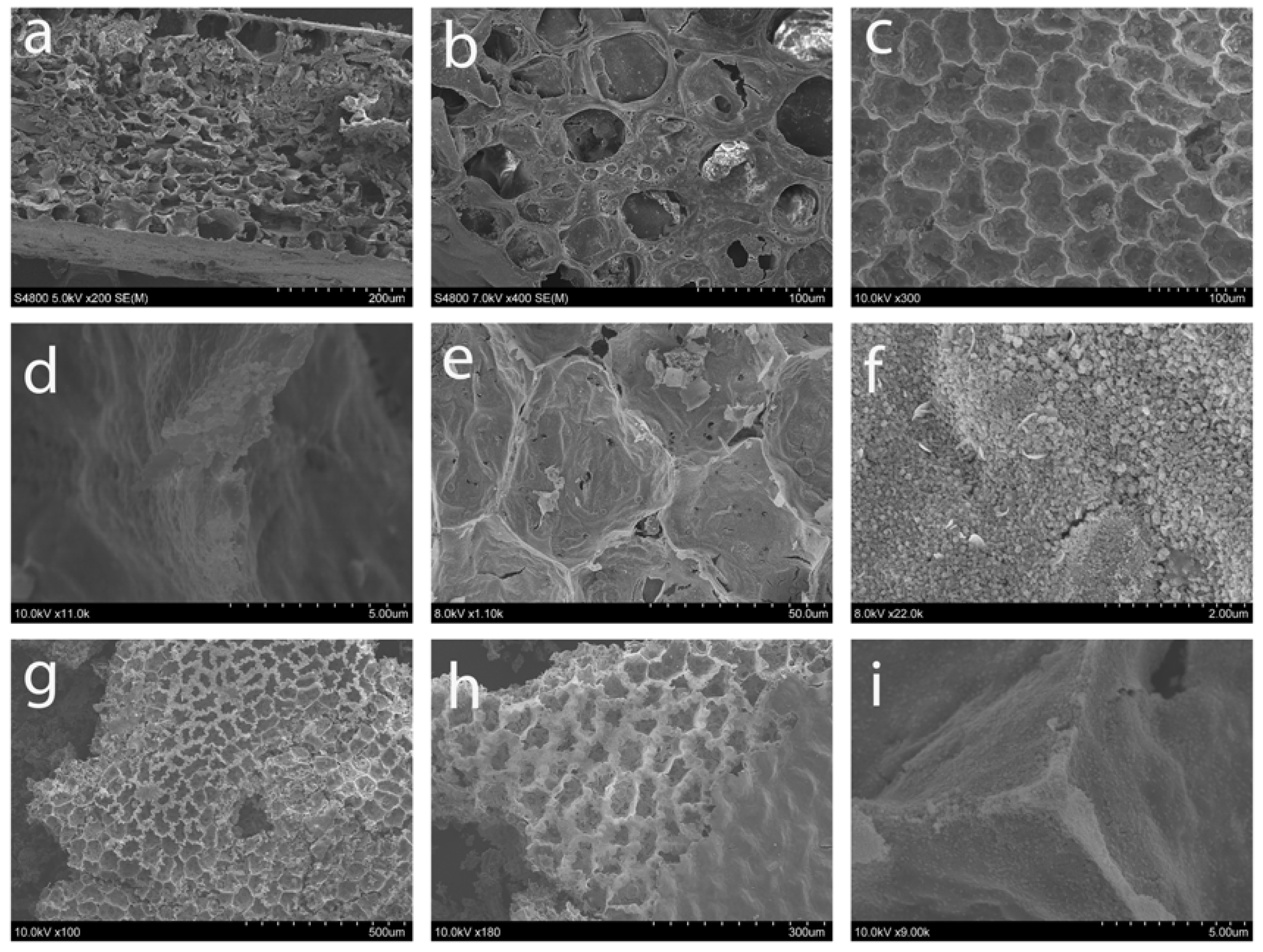 Inorganics 06 00103 g007