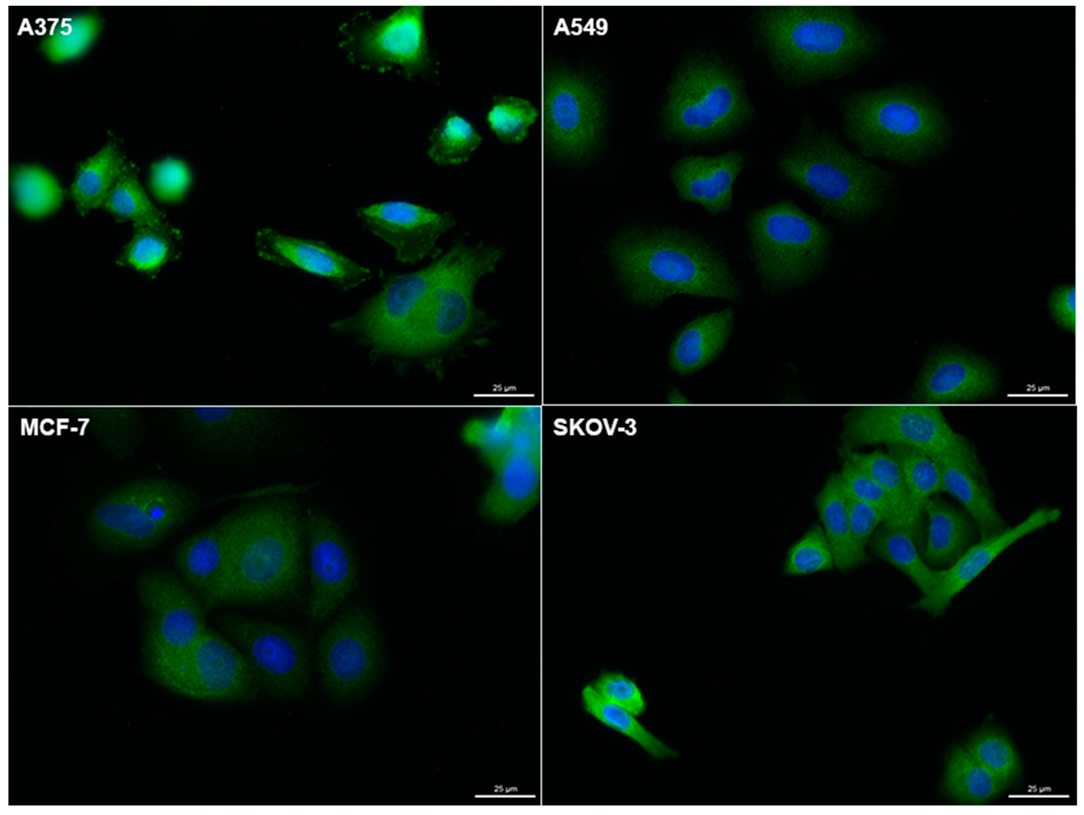 Inorganics 06 00123 g002