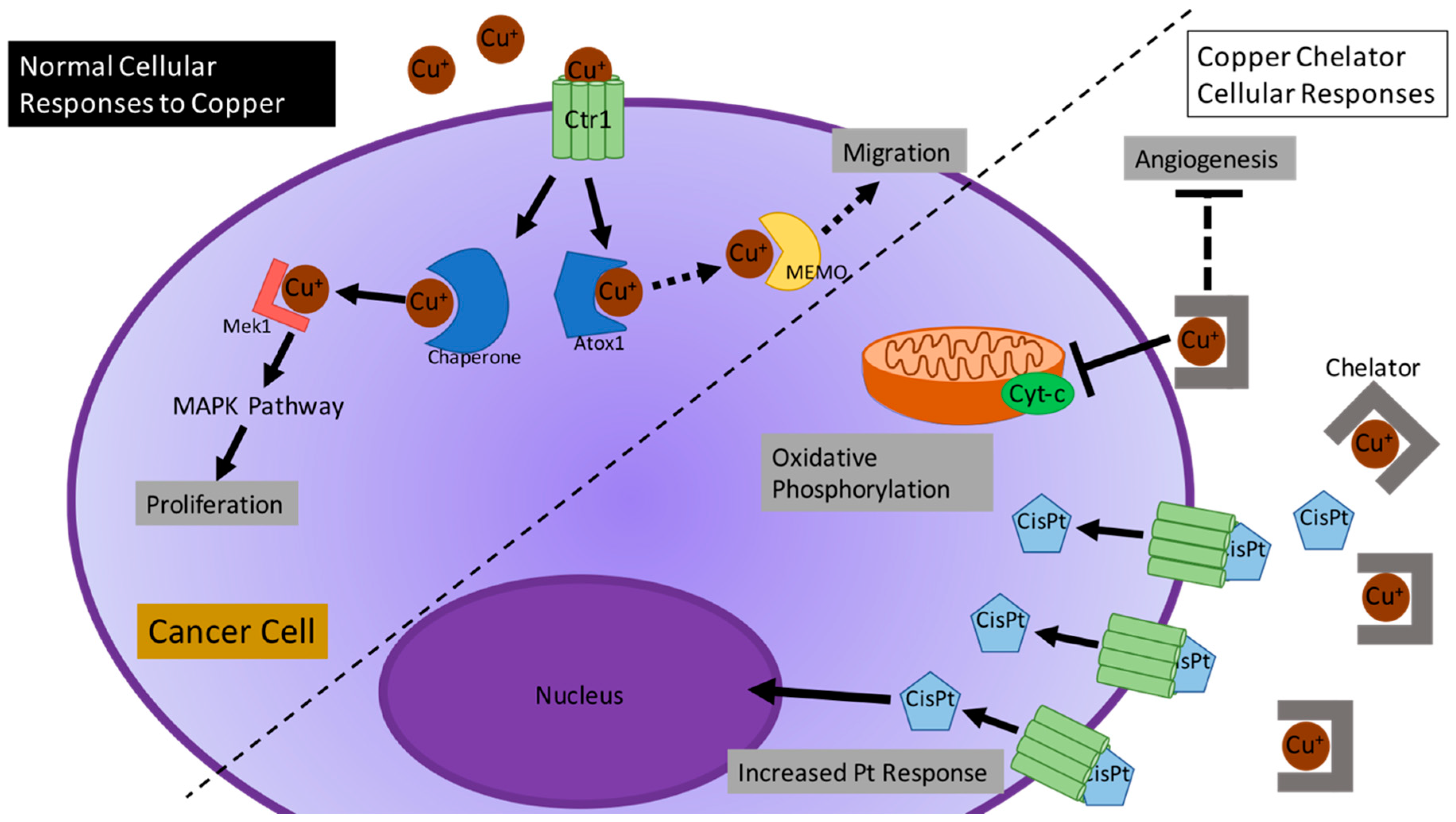 Inorganics 06 00126 g001 Inorganics 06 00126 g001
