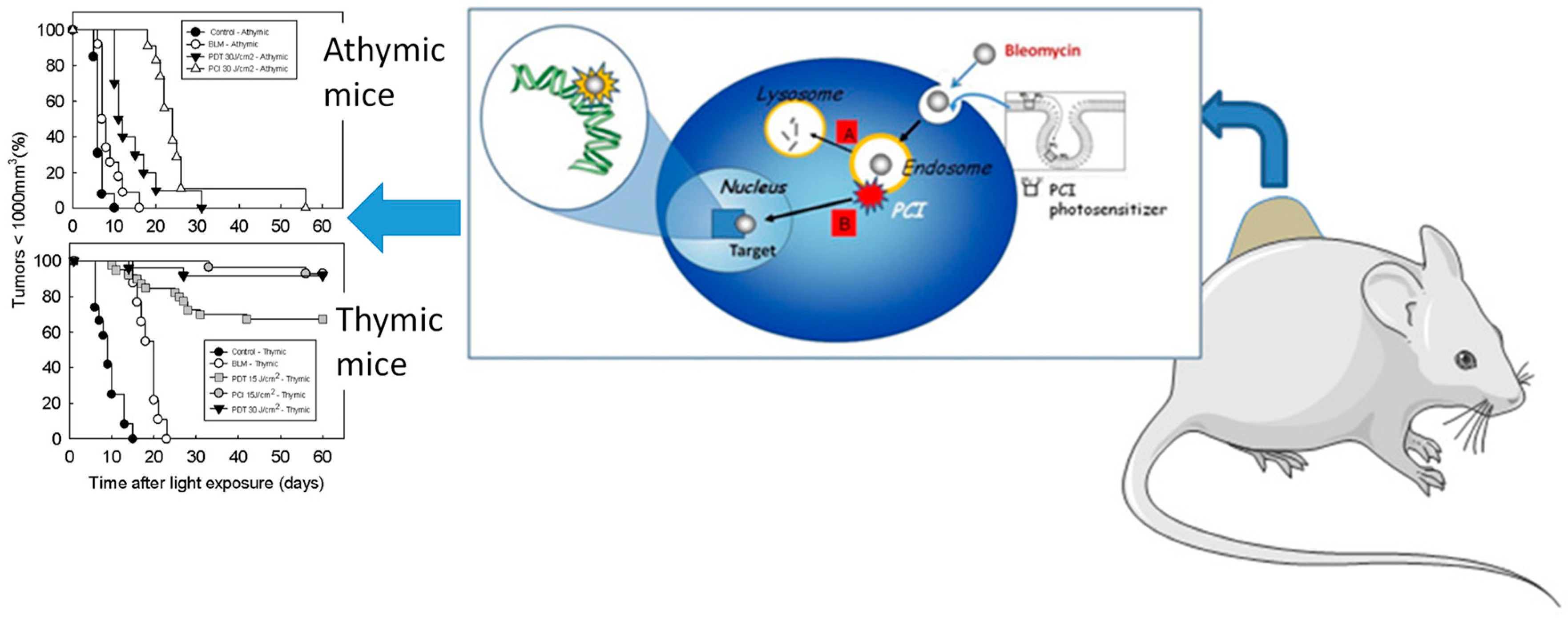 Inorganics 06 00126 g005 Inorganics 06 00126 g005