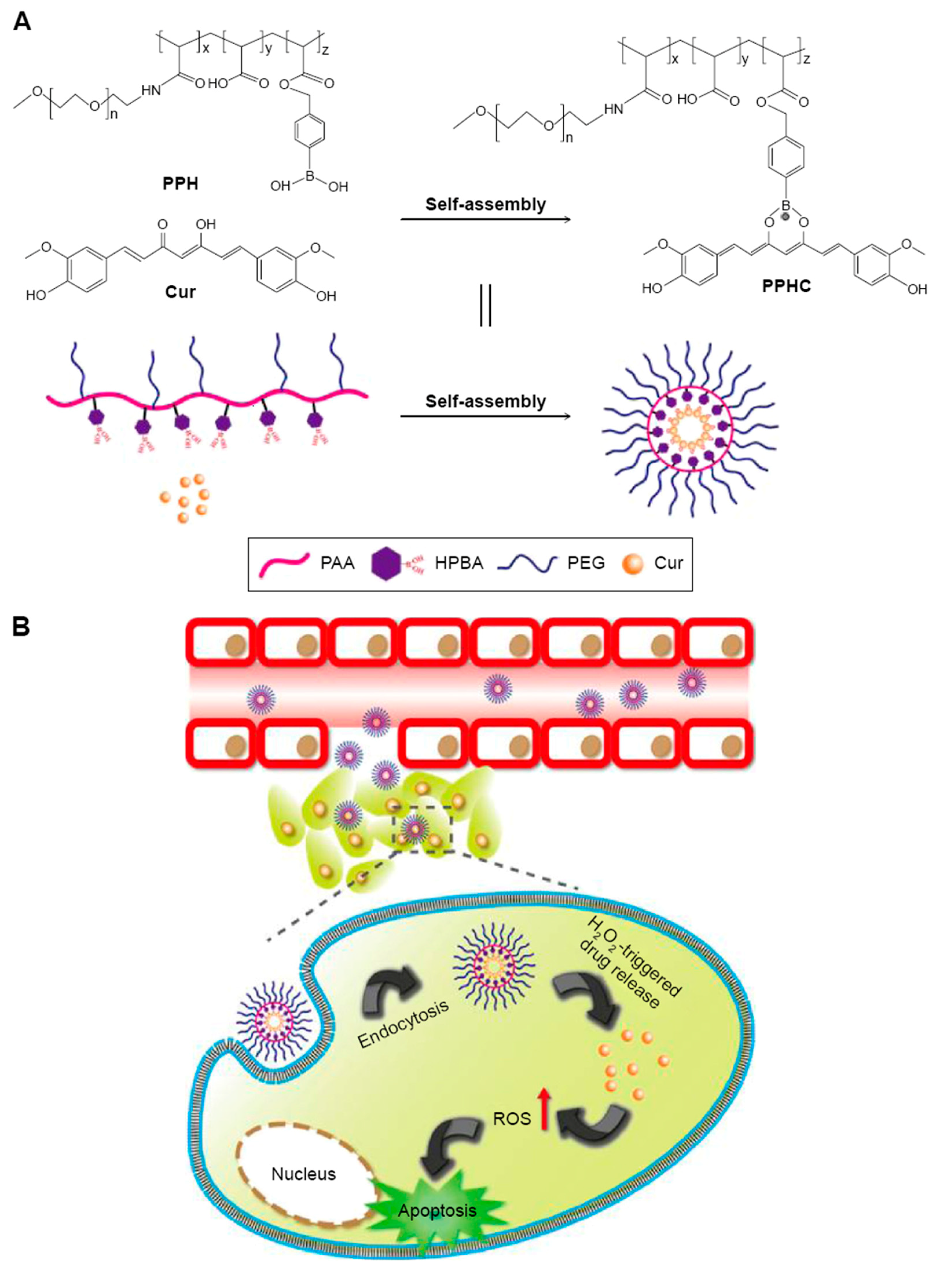 Inorganics 06 00126 g006 Inorganics 06 00126 g006