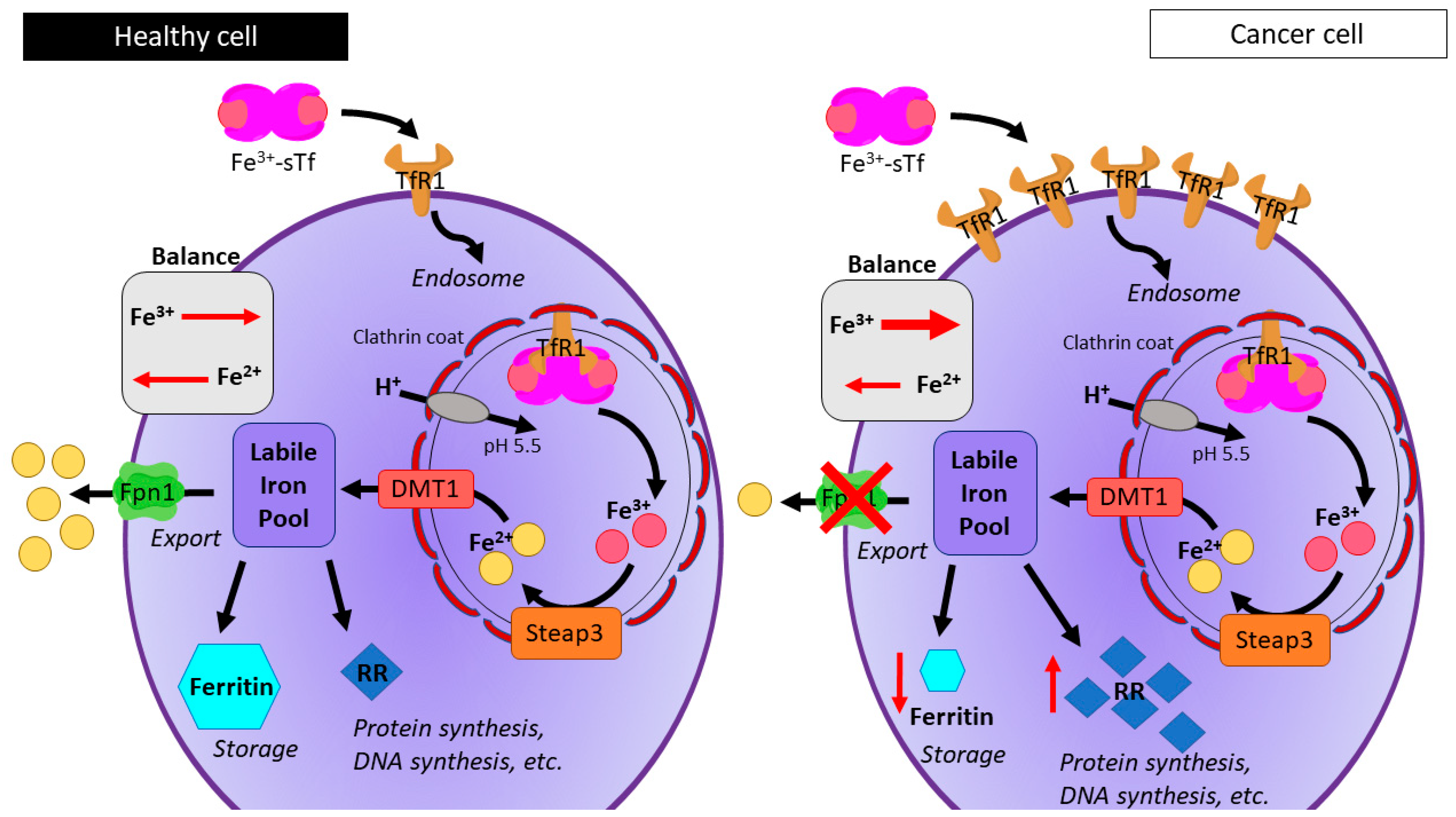 Inorganics 06 00126 g007 Inorganics 06 00126 g007