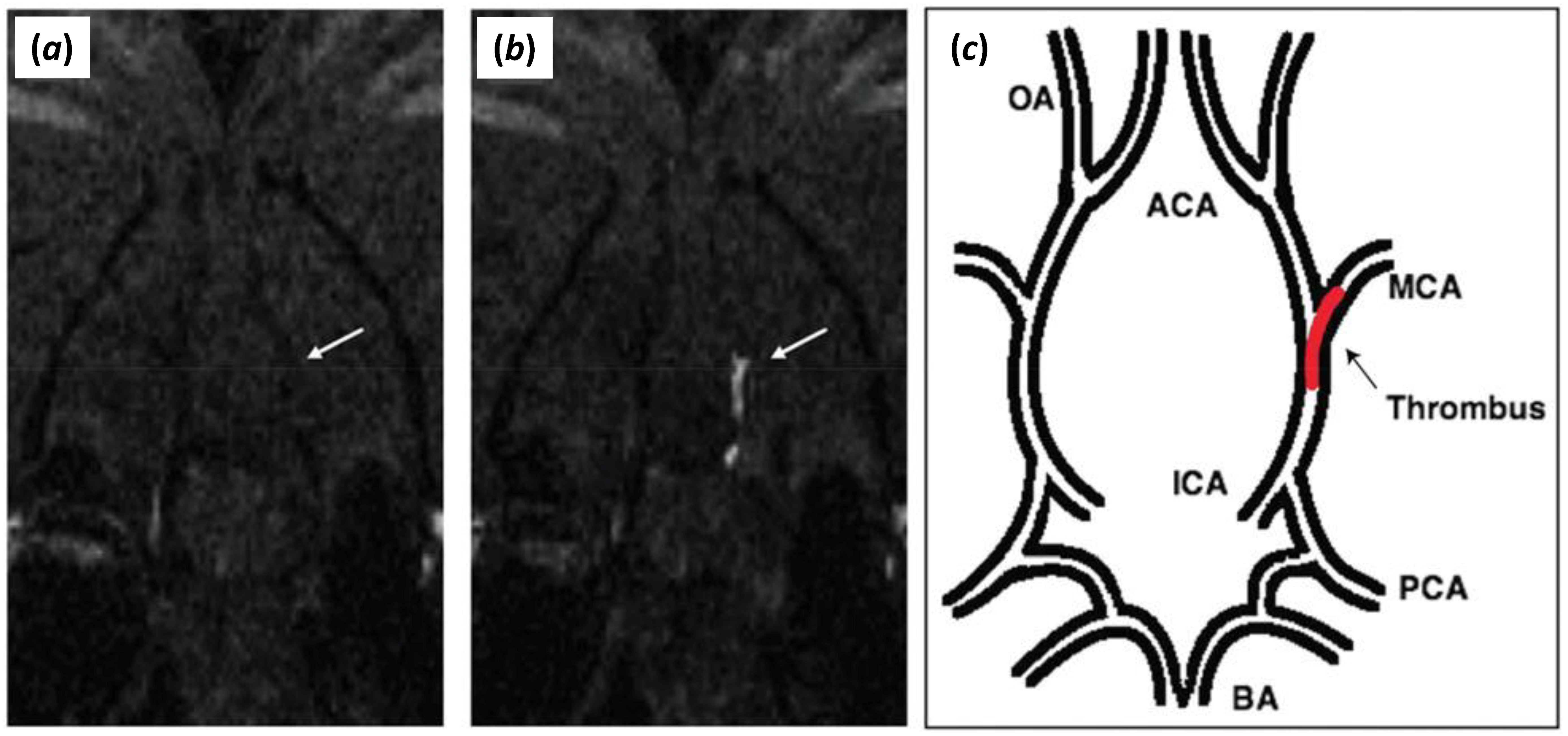 Inorganics 06 00129 g005