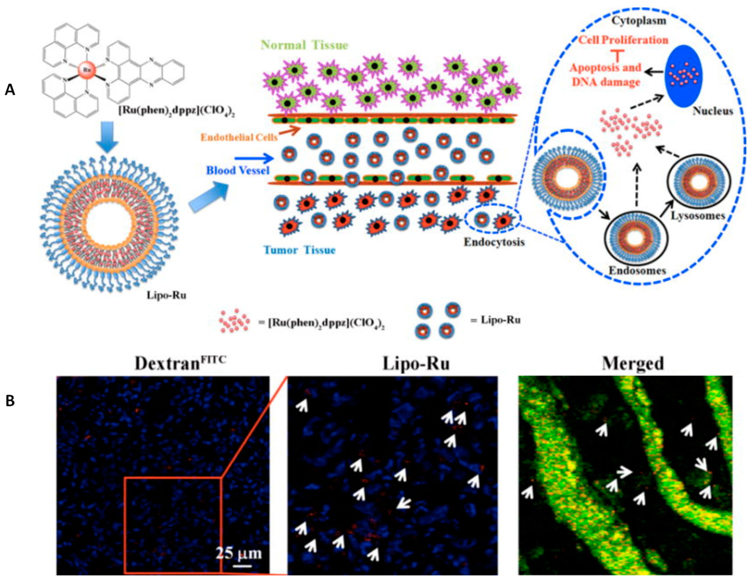 Inorganics 07 00002 g002
