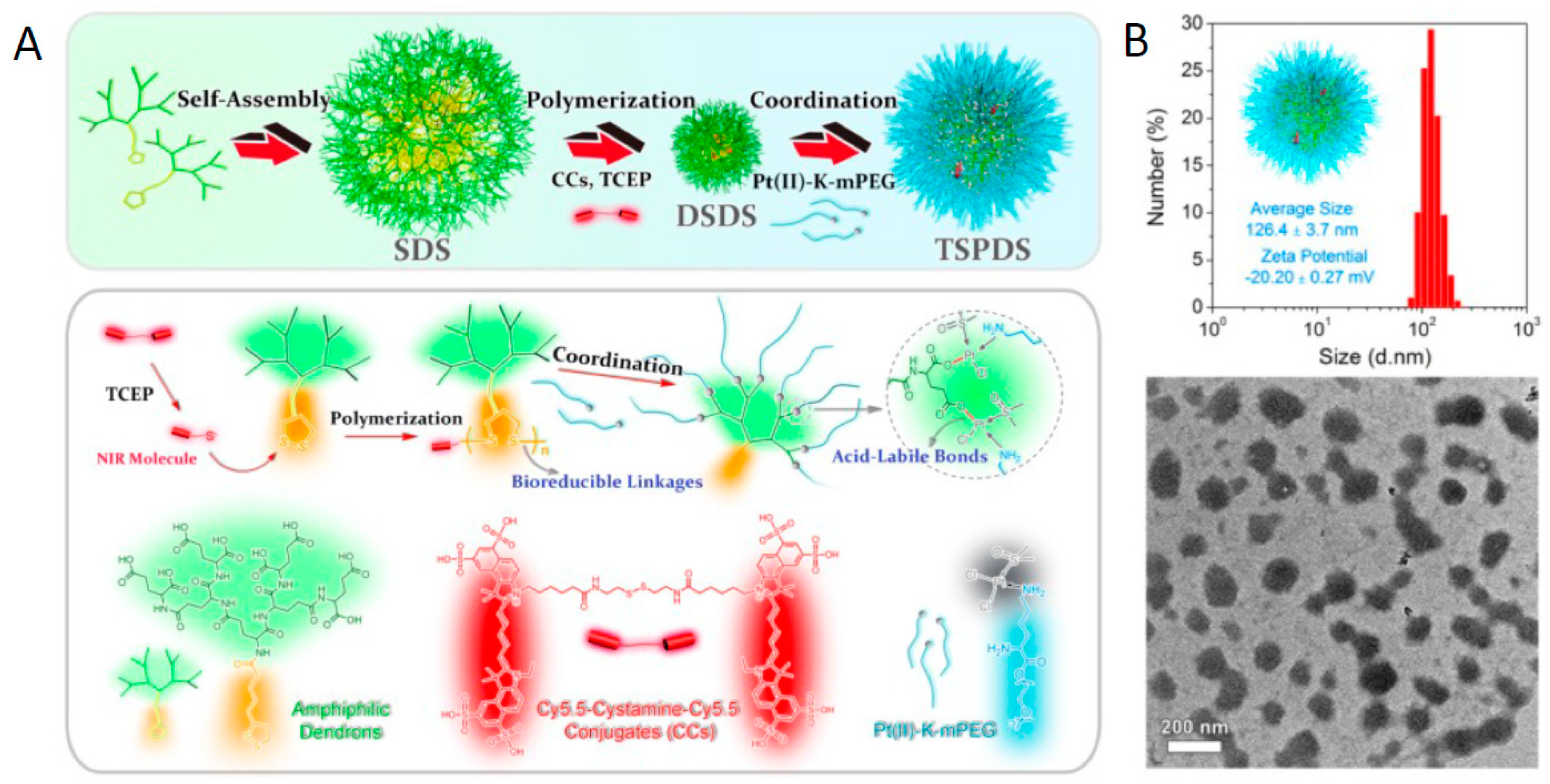 Inorganics 07 00002 g006