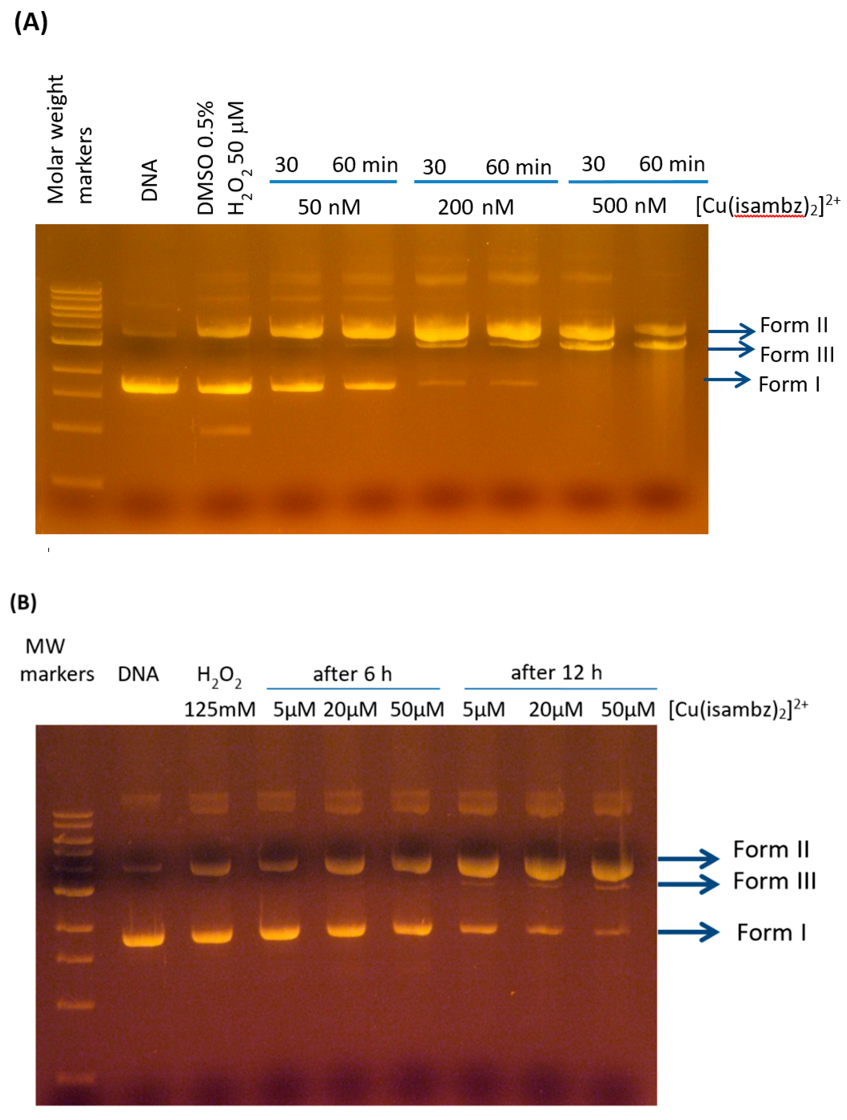 Inorganics 07 00012 g007