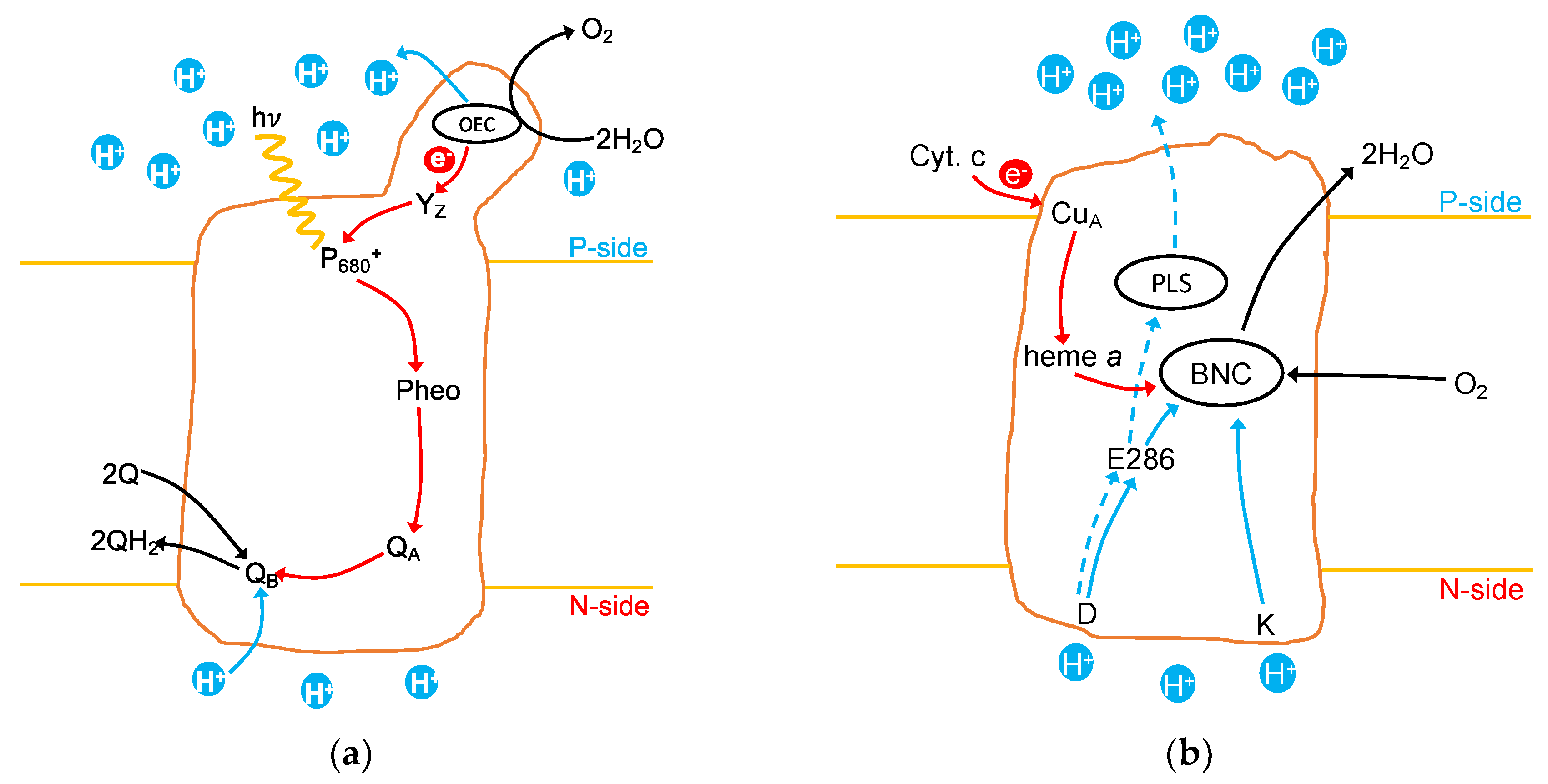 Inorganics 07 00014 g001