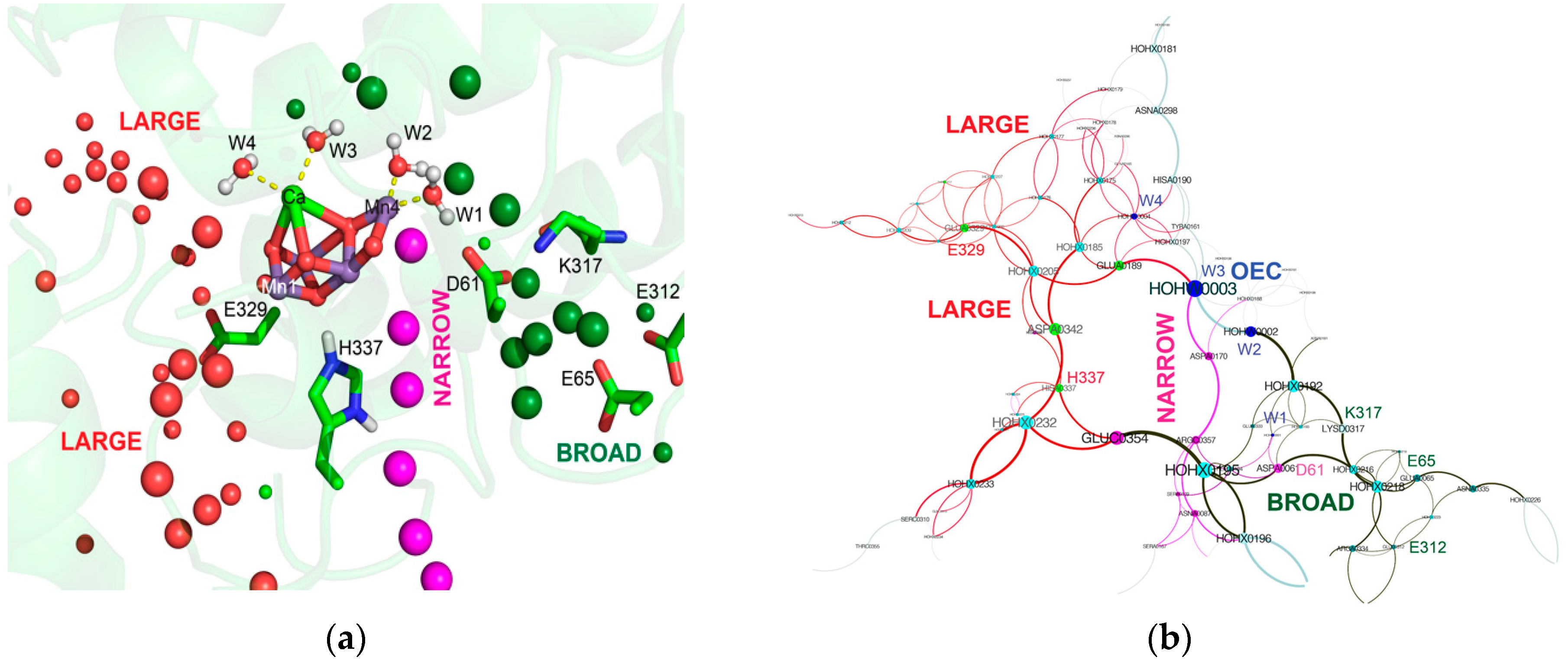 Inorganics 07 00014 g003
