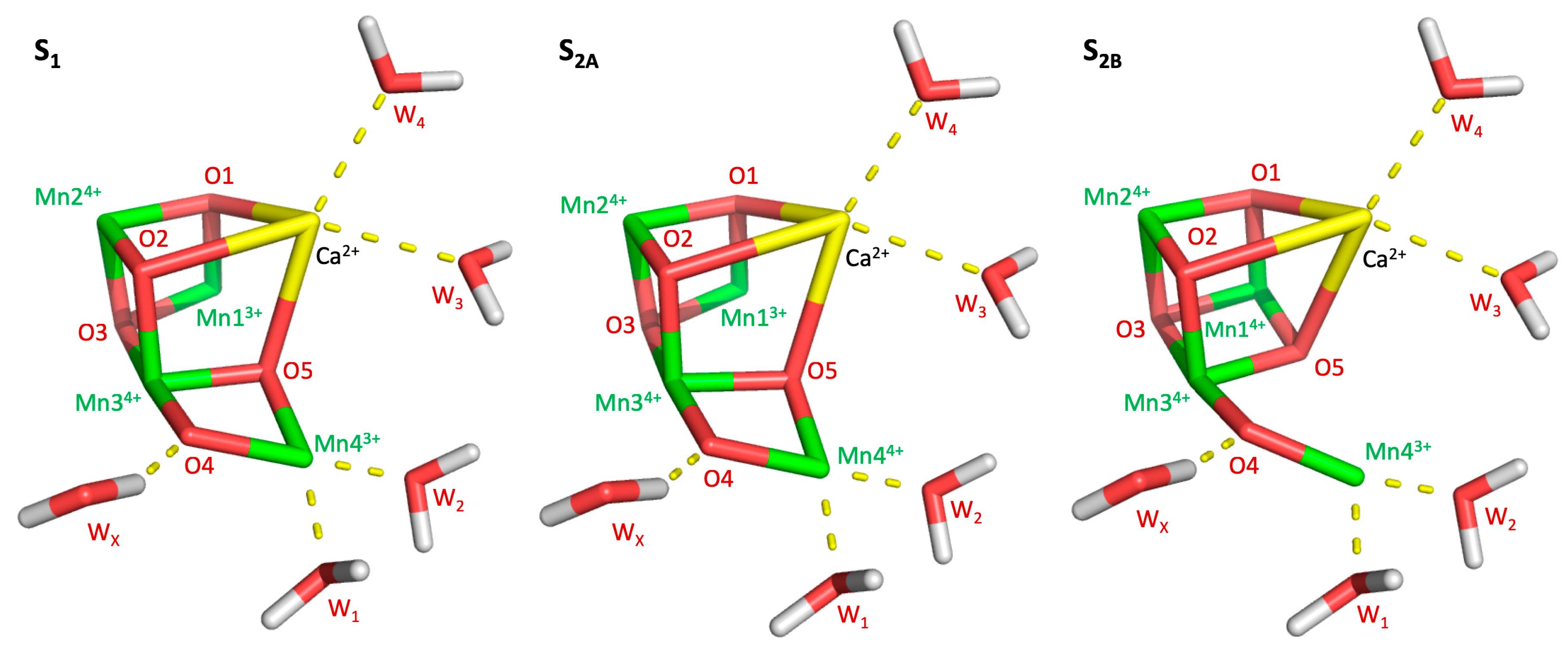 Inorganics 07 00039 g001