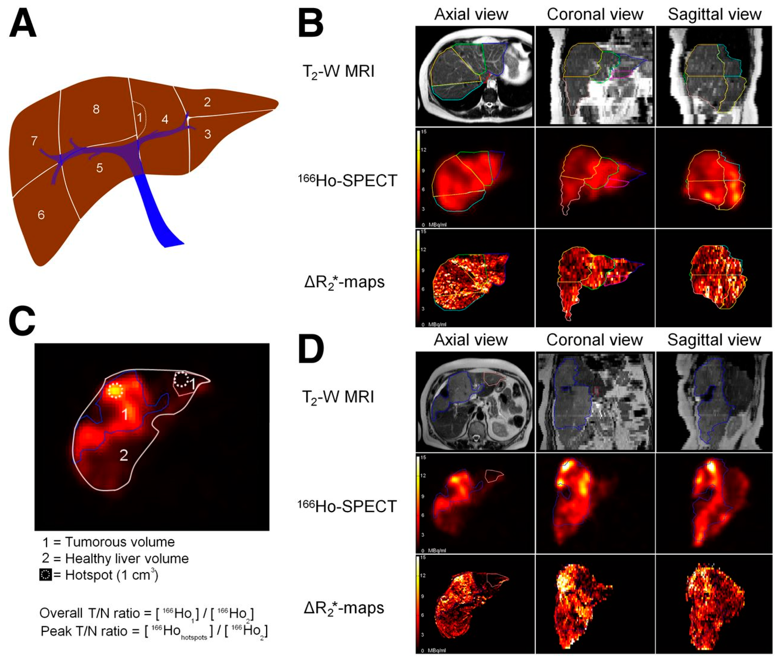 Inorganics 07 00059 g004