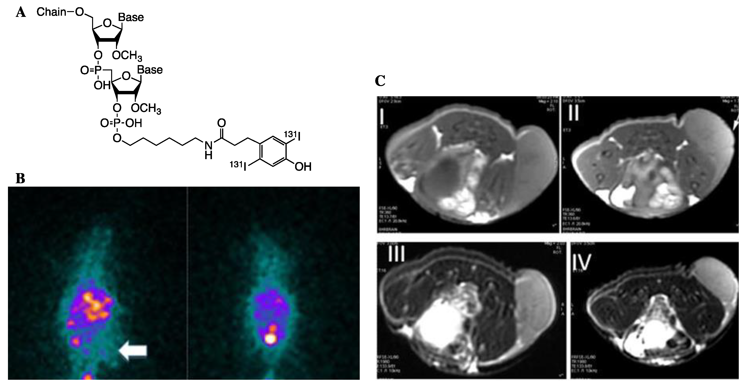 Inorganics 07 00059 g005