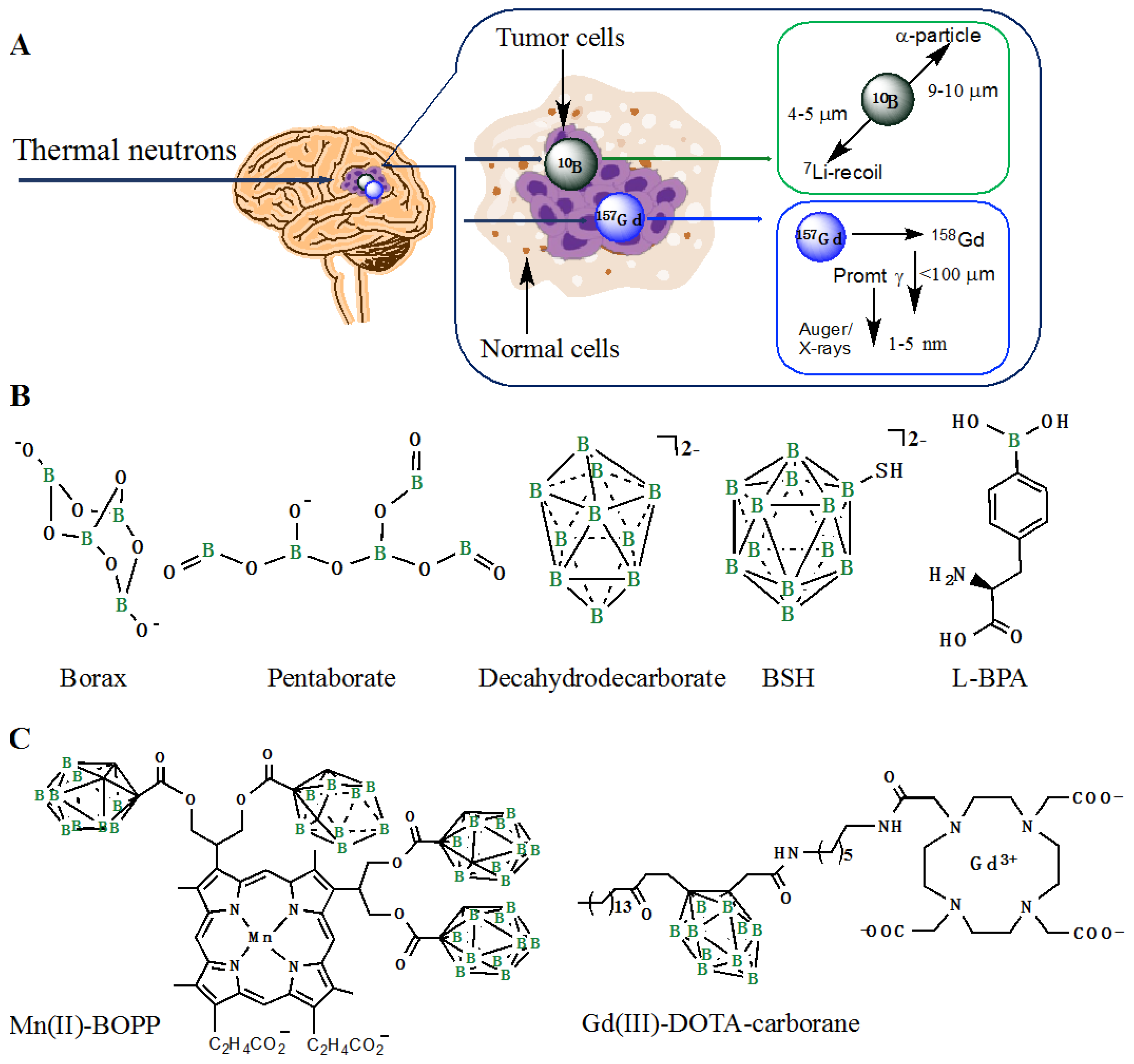 Inorganics 07 00059 g007