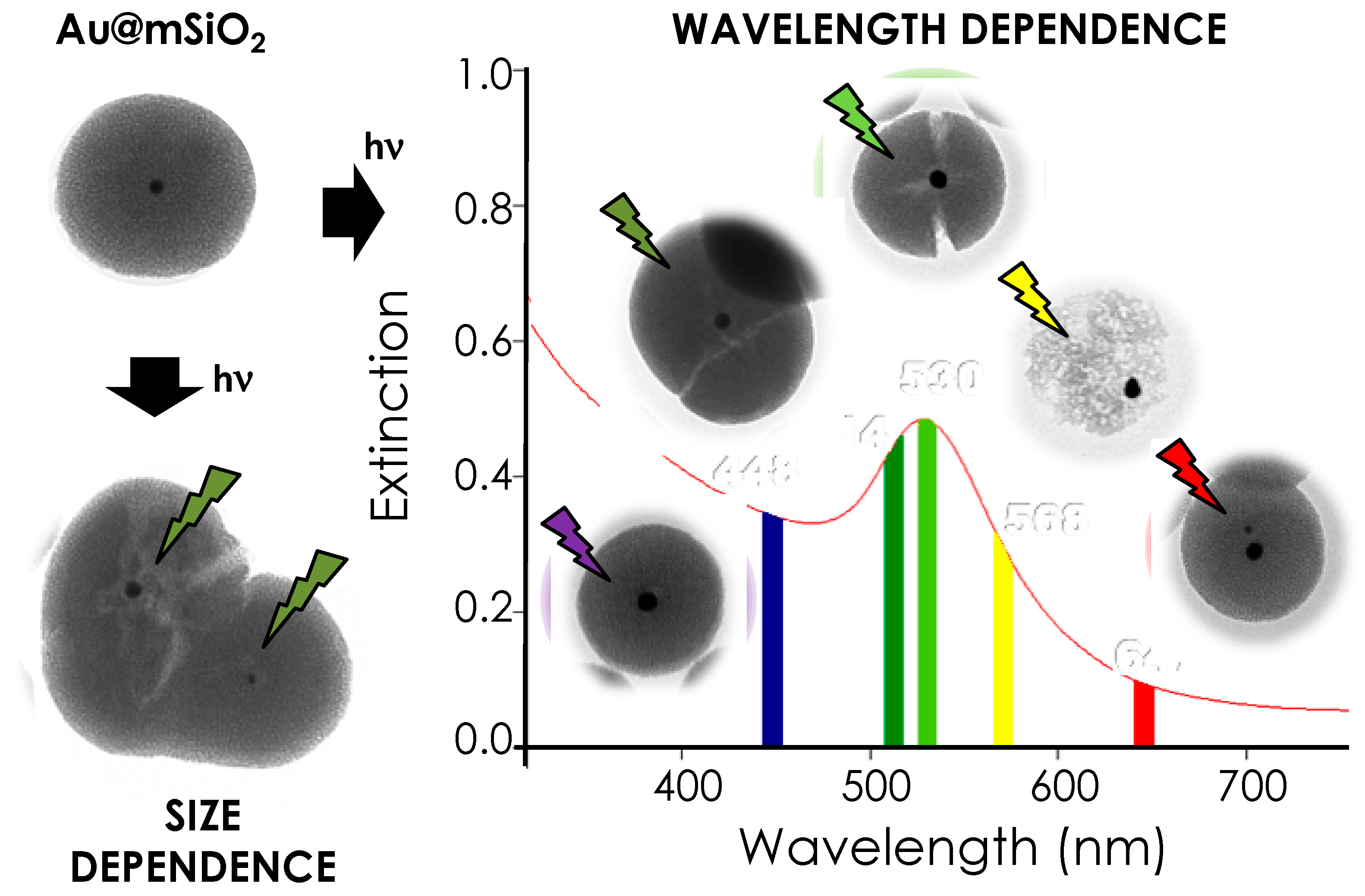 Inorganics 07 00072 g001