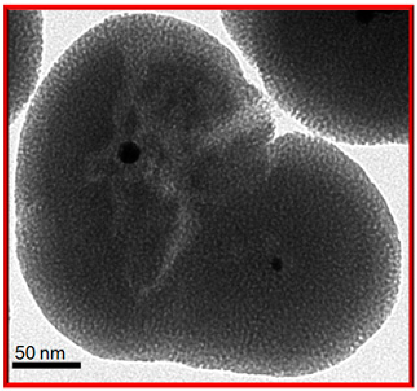 Inorganics 07 00072 g005