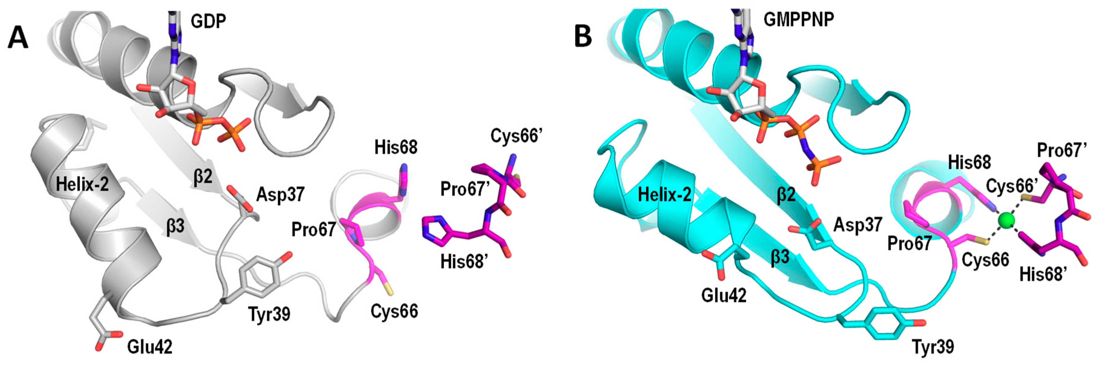 Inorganics 07 00085 g004