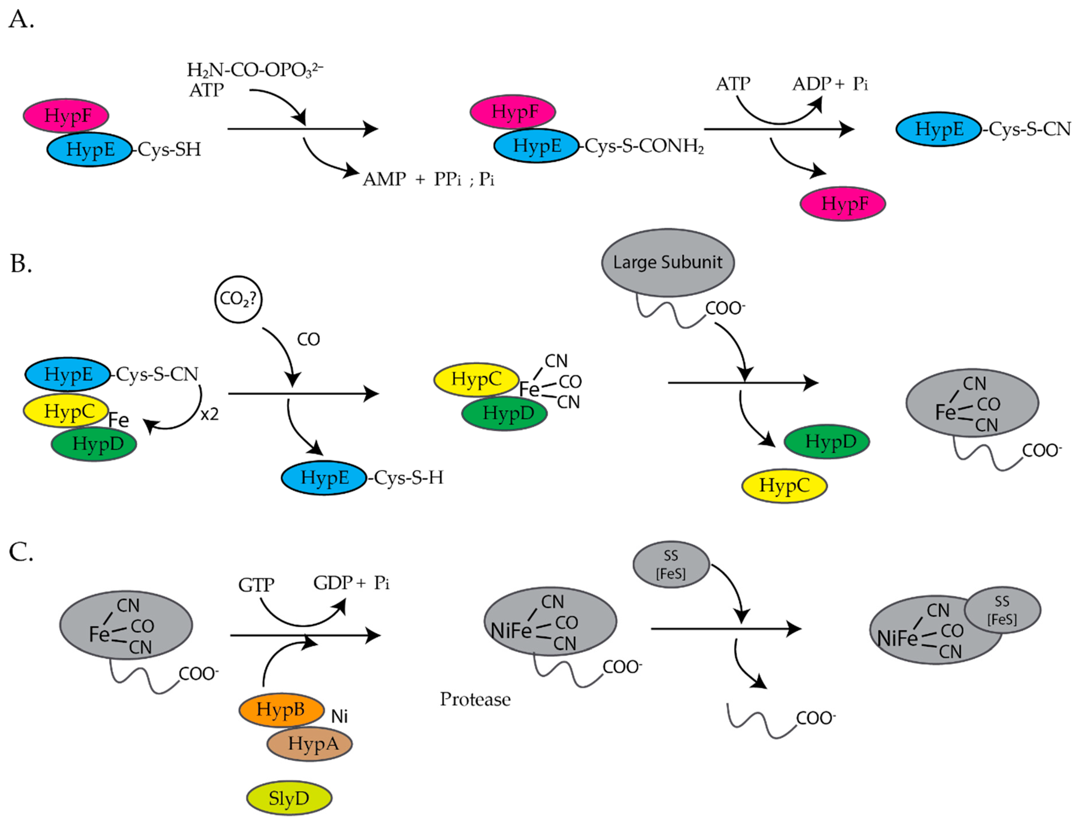 Inorganics 07 00104 g001