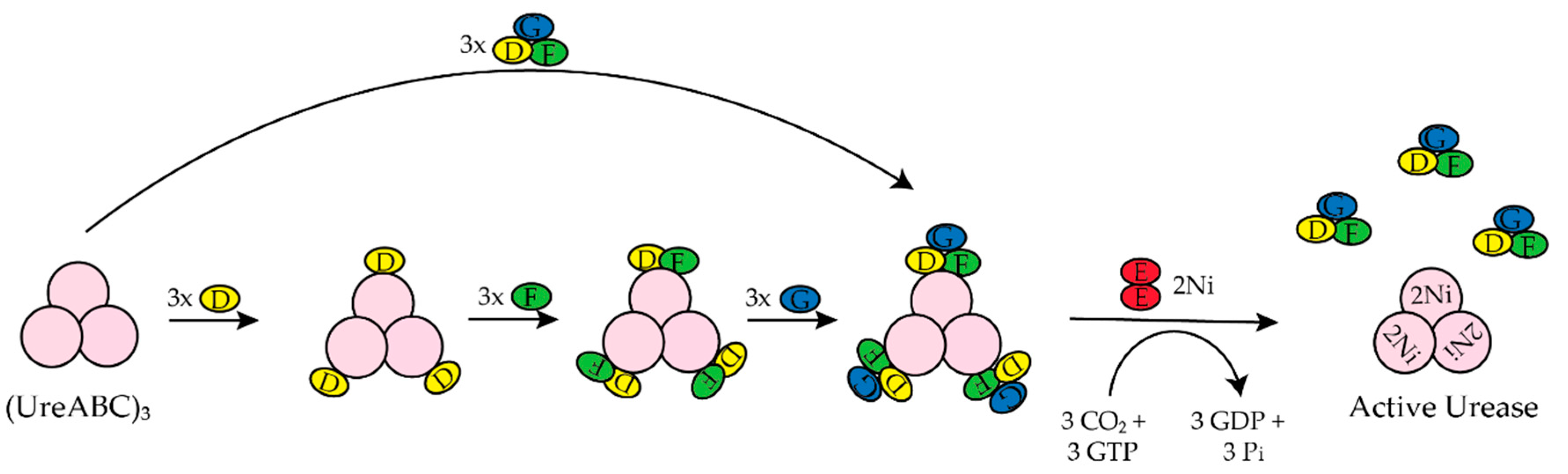 Inorganics 07 00104 g002