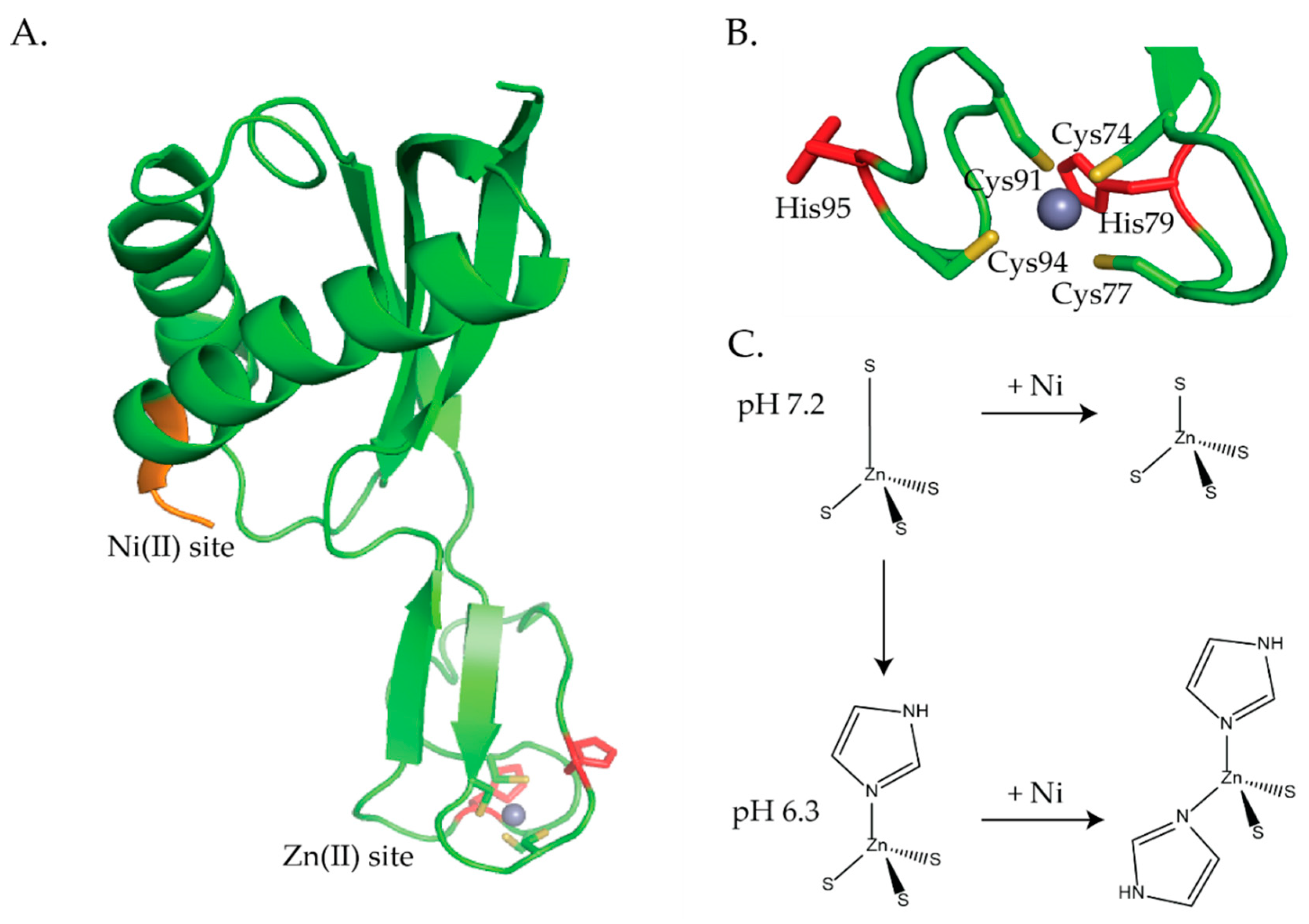 Inorganics 07 00104 g008