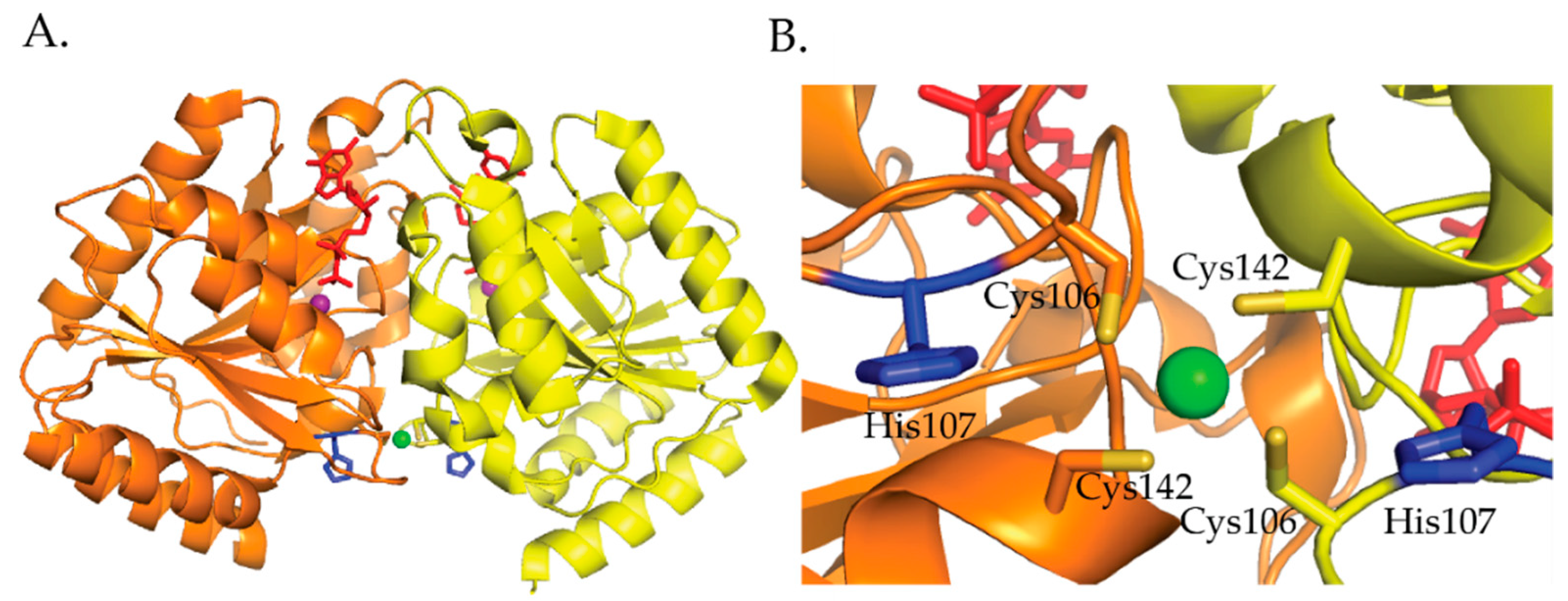 Inorganics 07 00104 g010