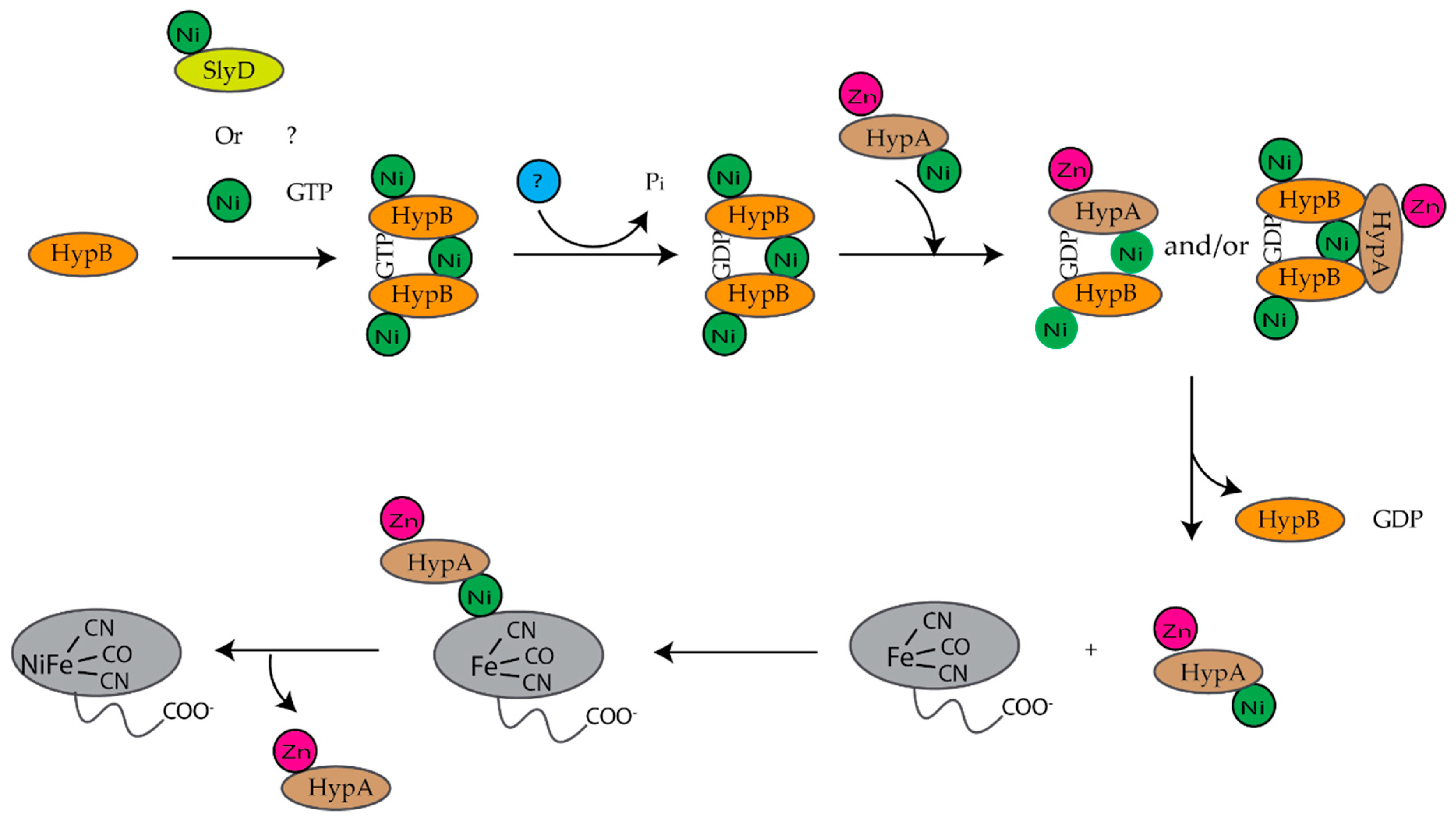 Inorganics 07 00104 g012