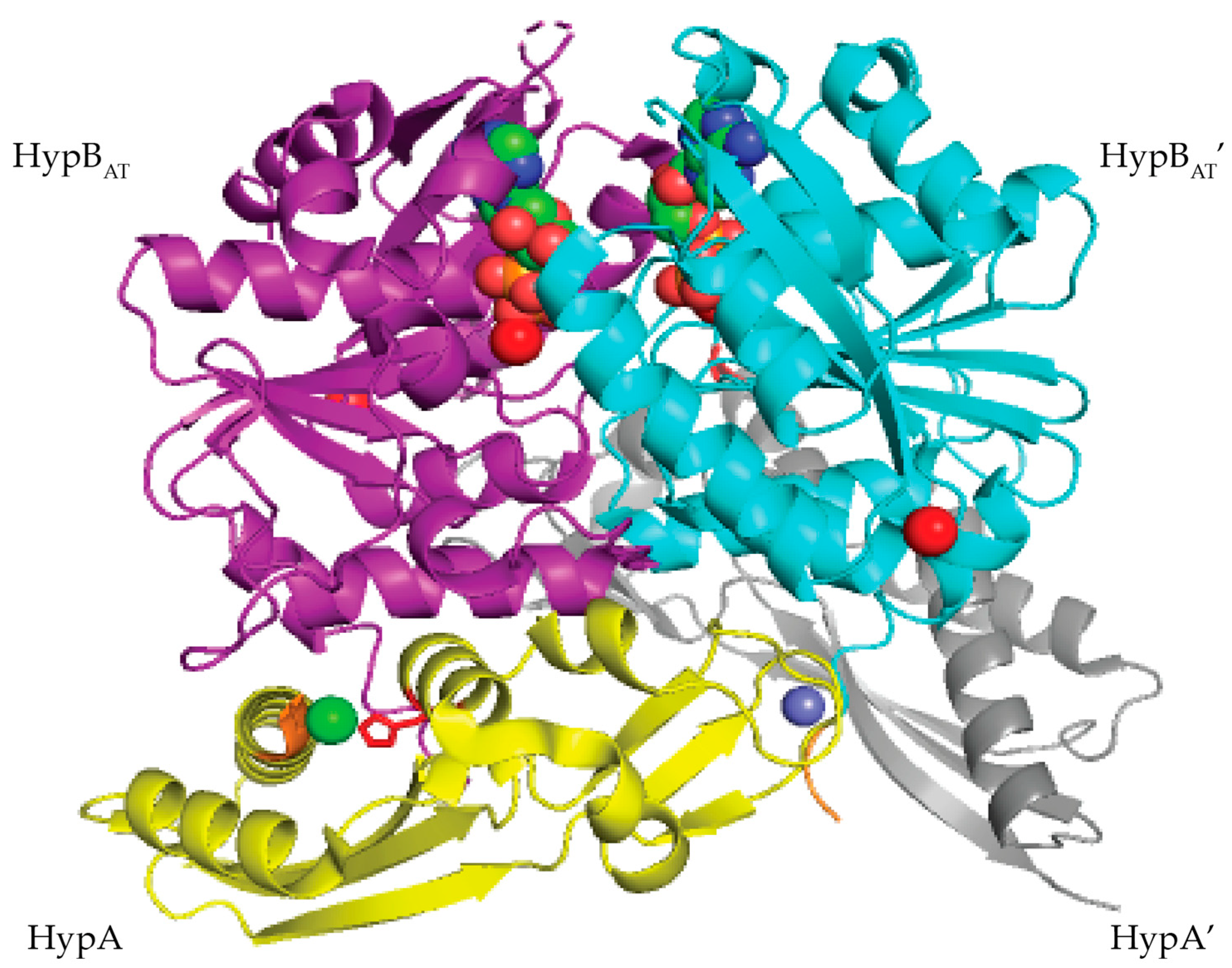 Inorganics 07 00104 g013
