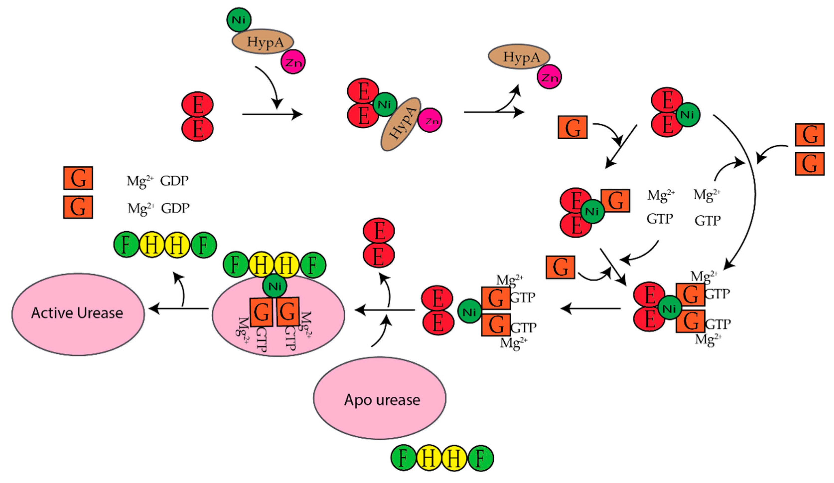 Inorganics 07 00104 g014