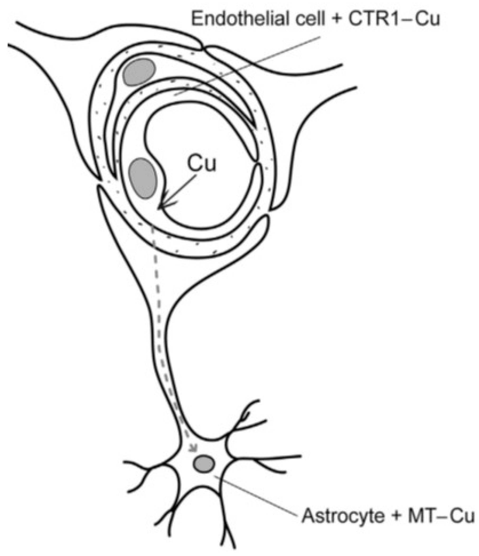 Inorganics 07 00108 g001